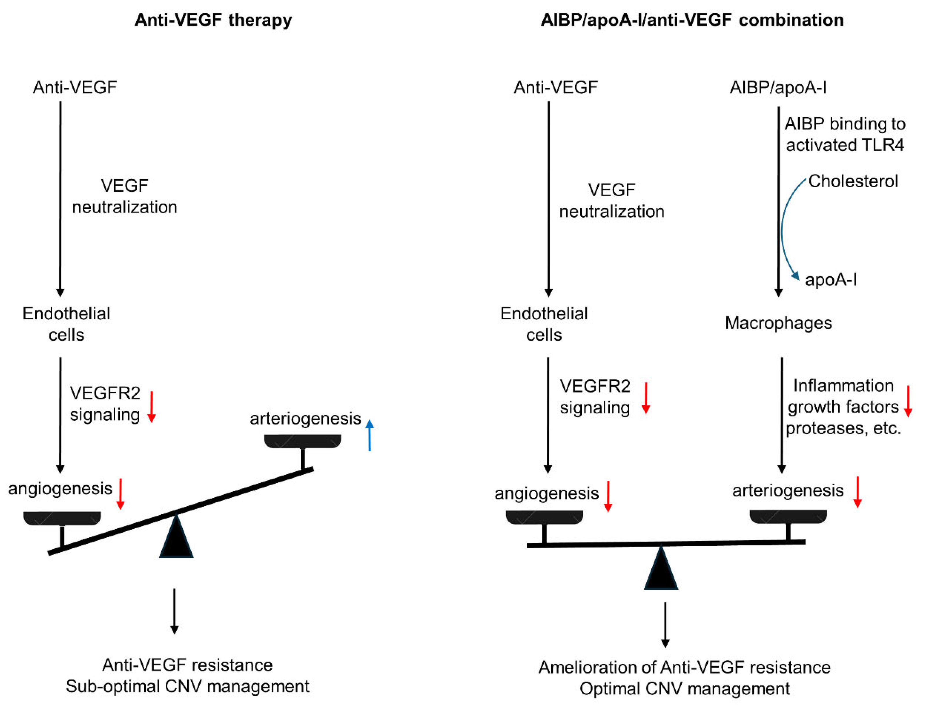 Preprints 97883 g004