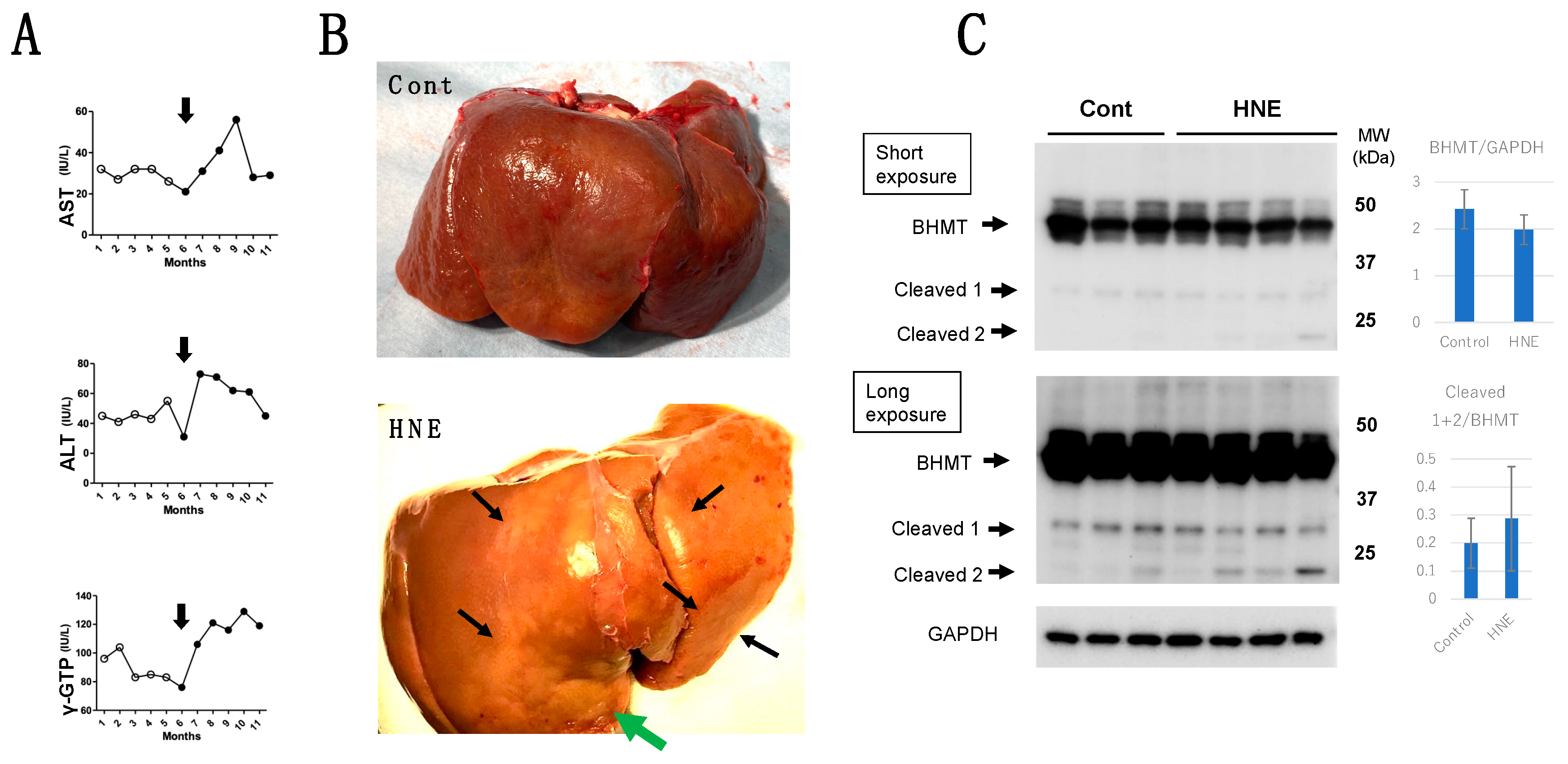 Preprints 69290 g001