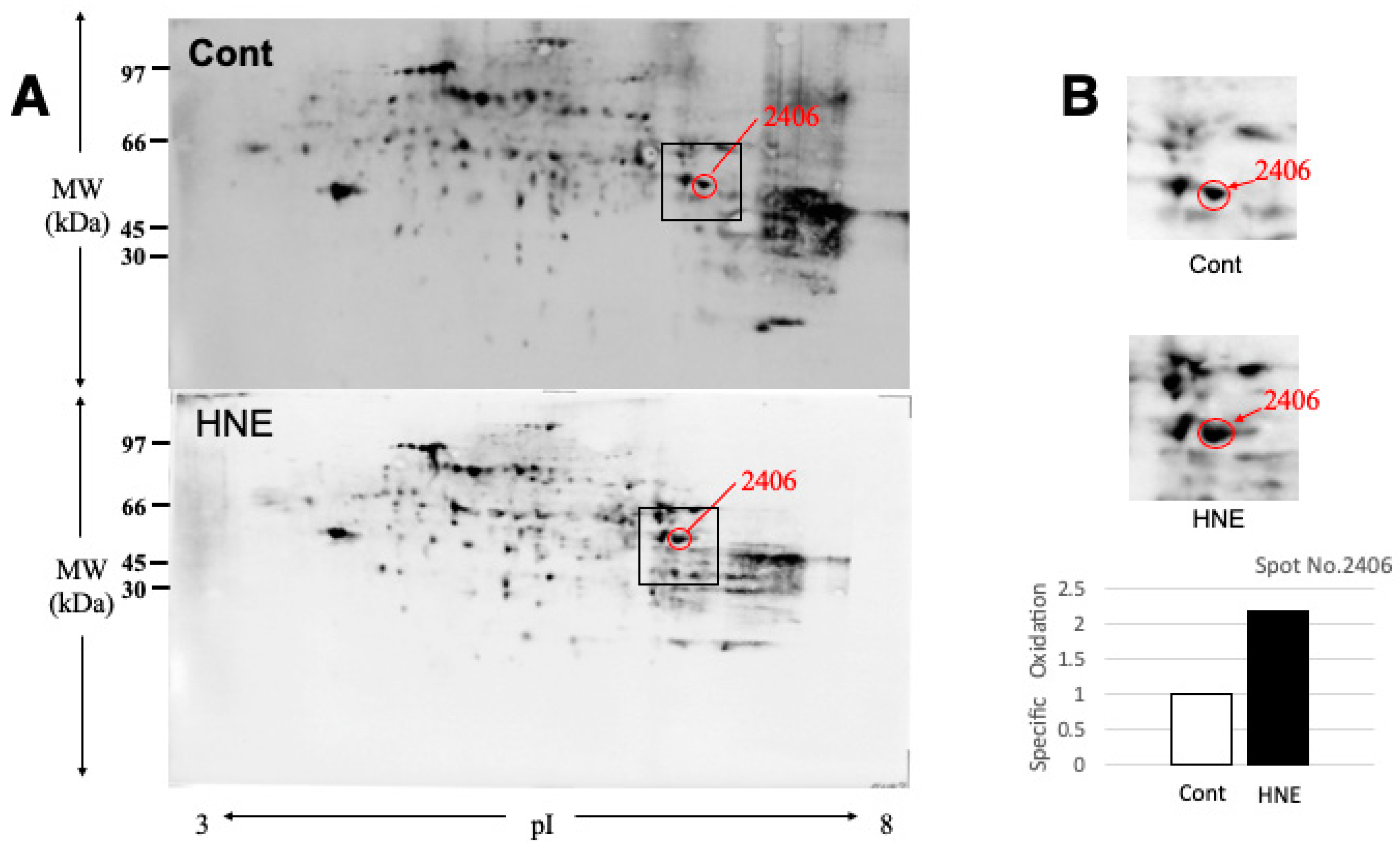 Preprints 69290 g003