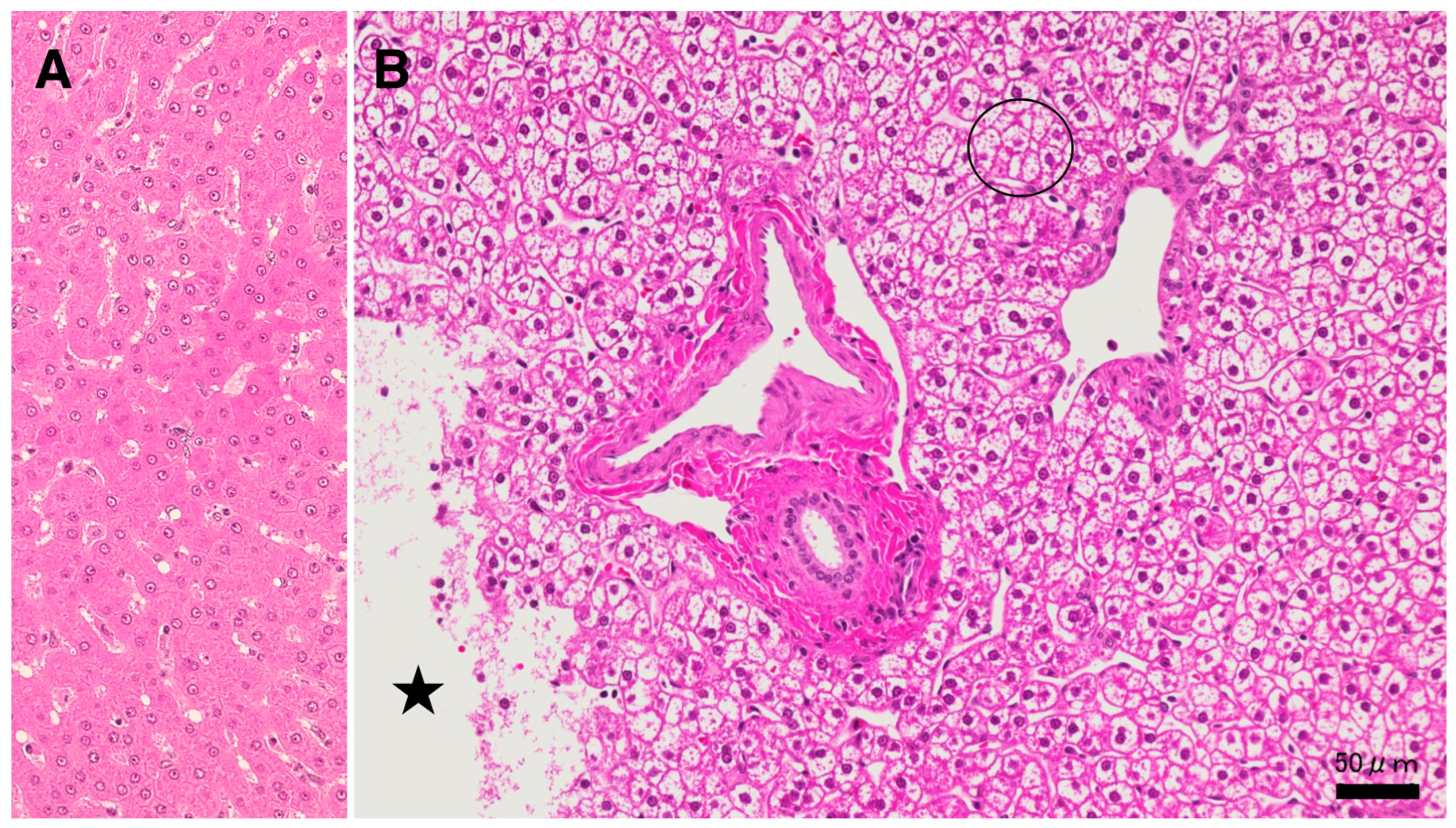 Preprints 69290 g004