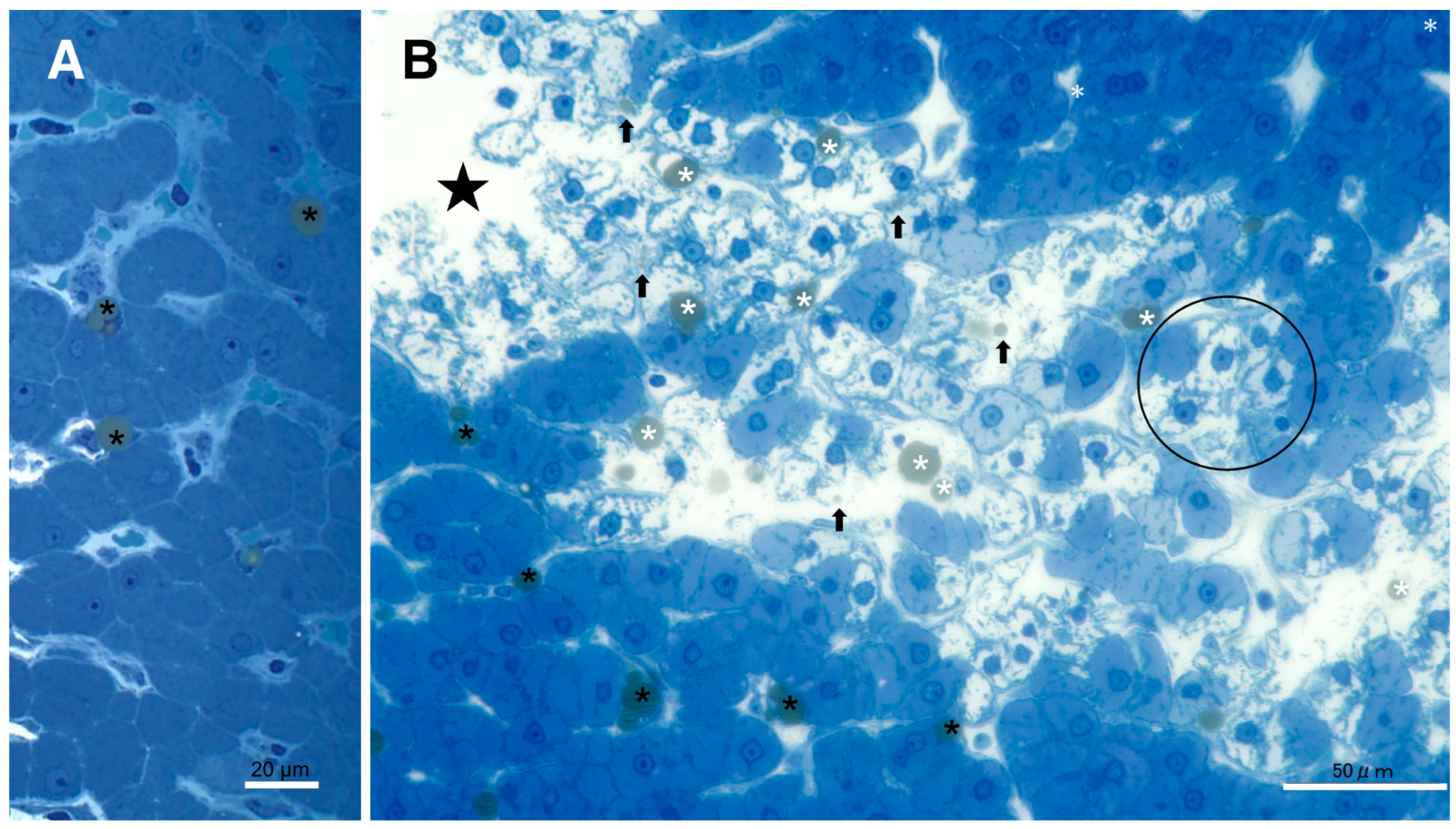 Preprints 69290 g005