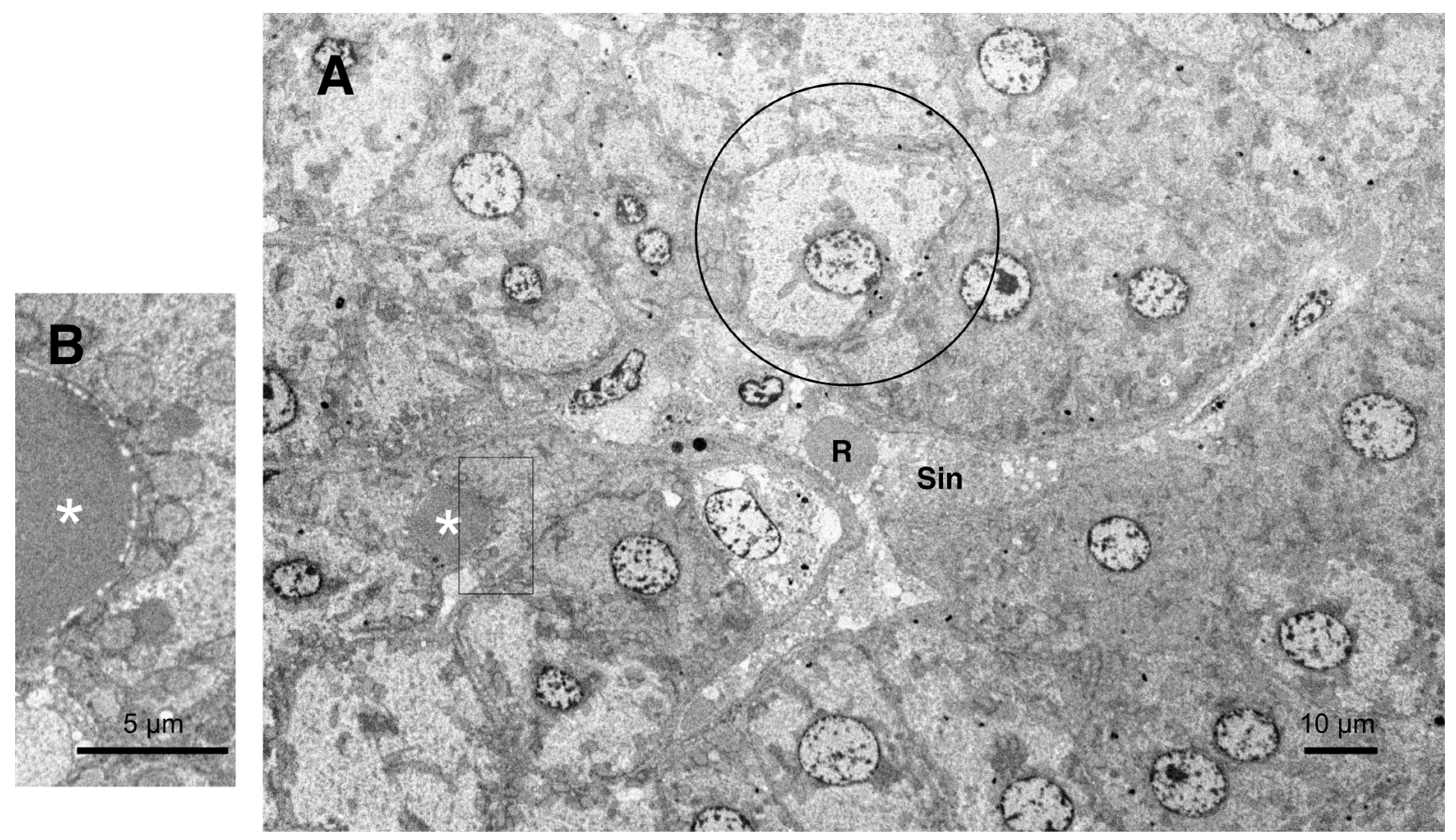 Preprints 69290 g010