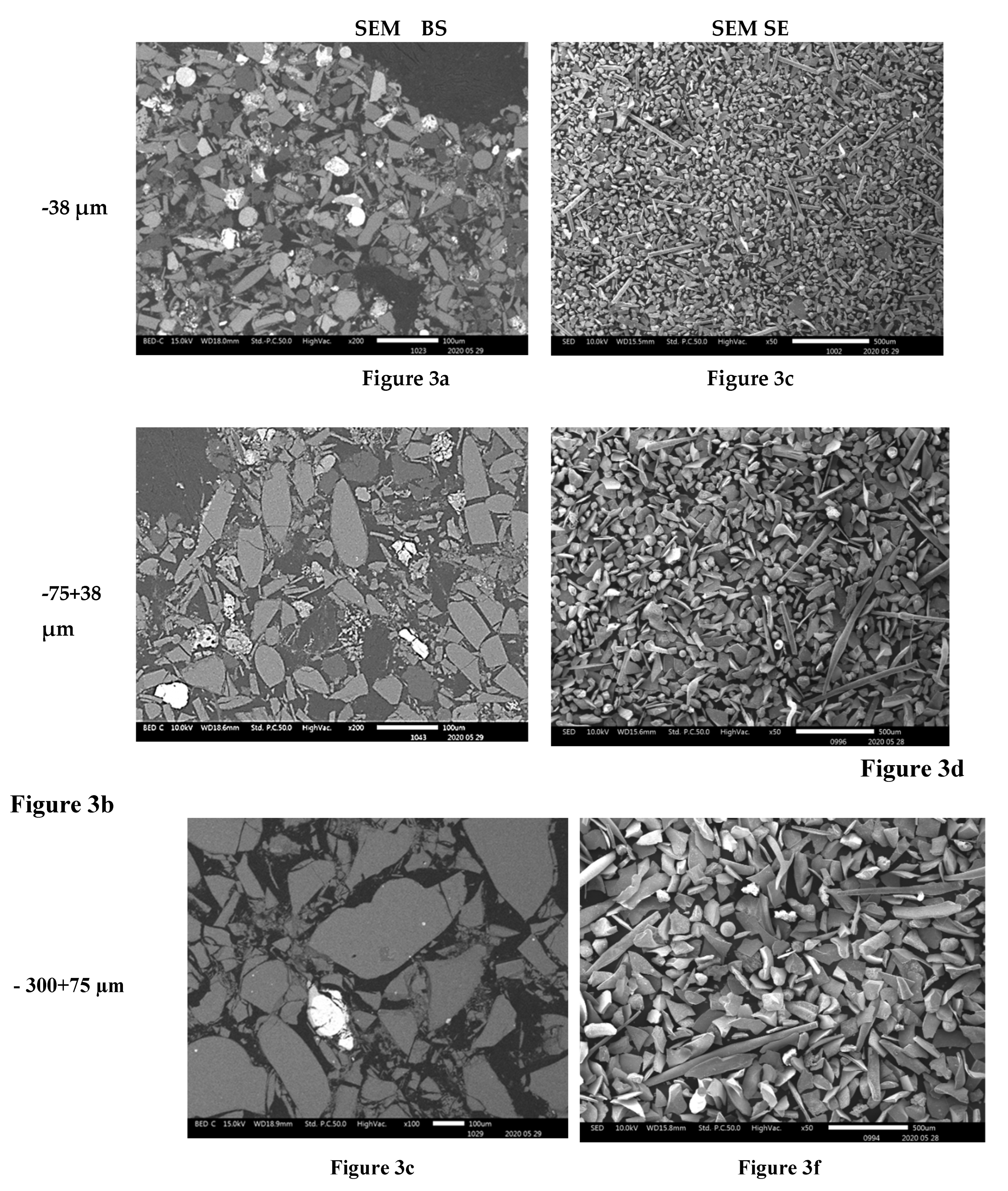 Preprints 80729 g003