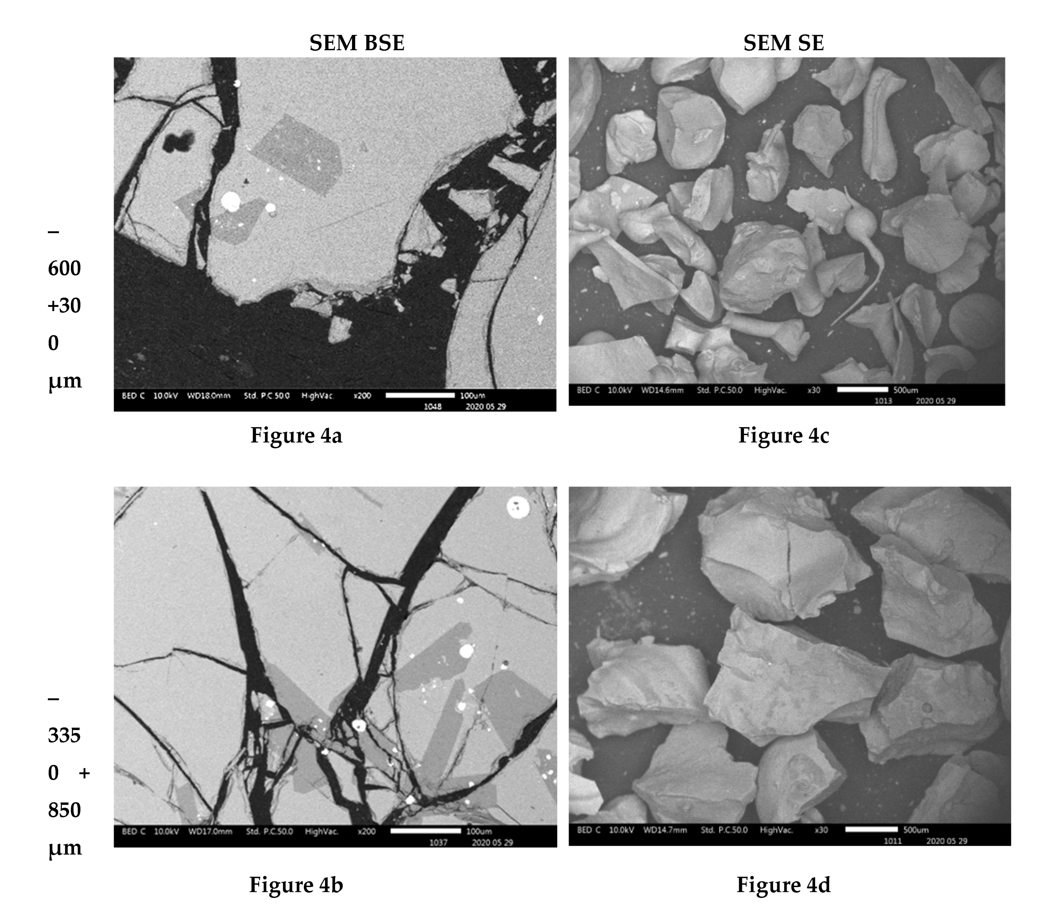 Preprints 80729 g004