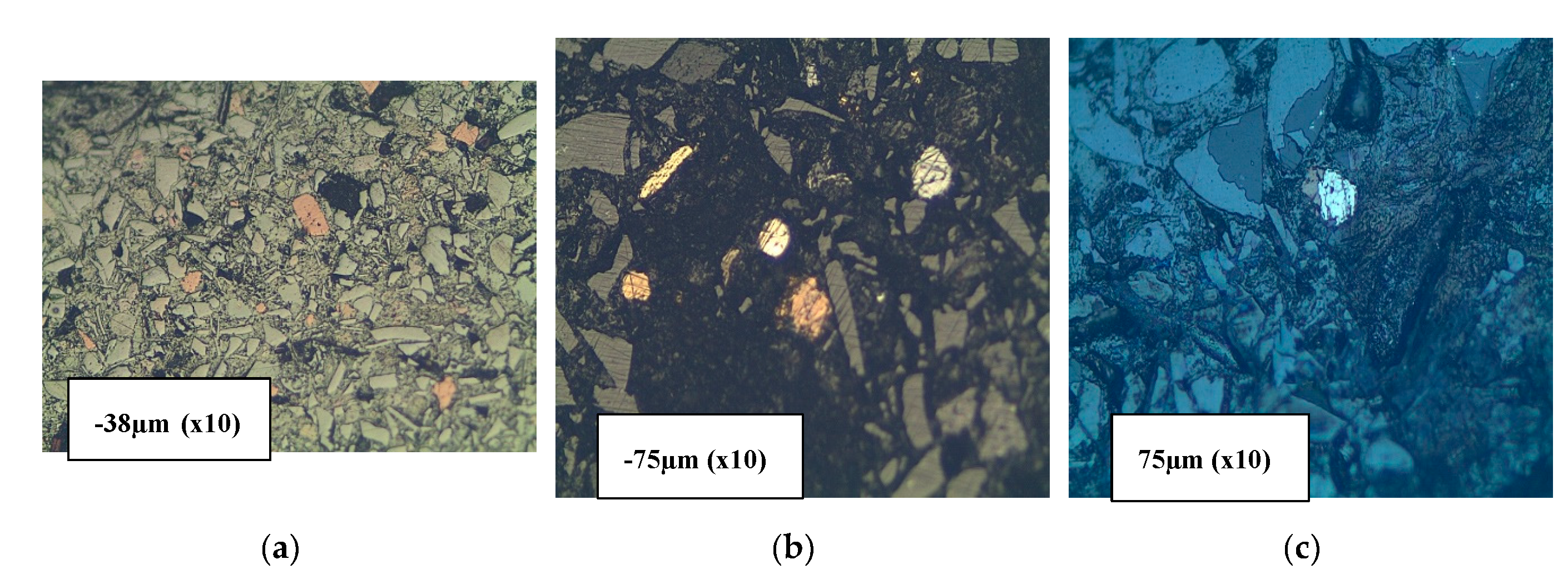 Preprints 80729 g013