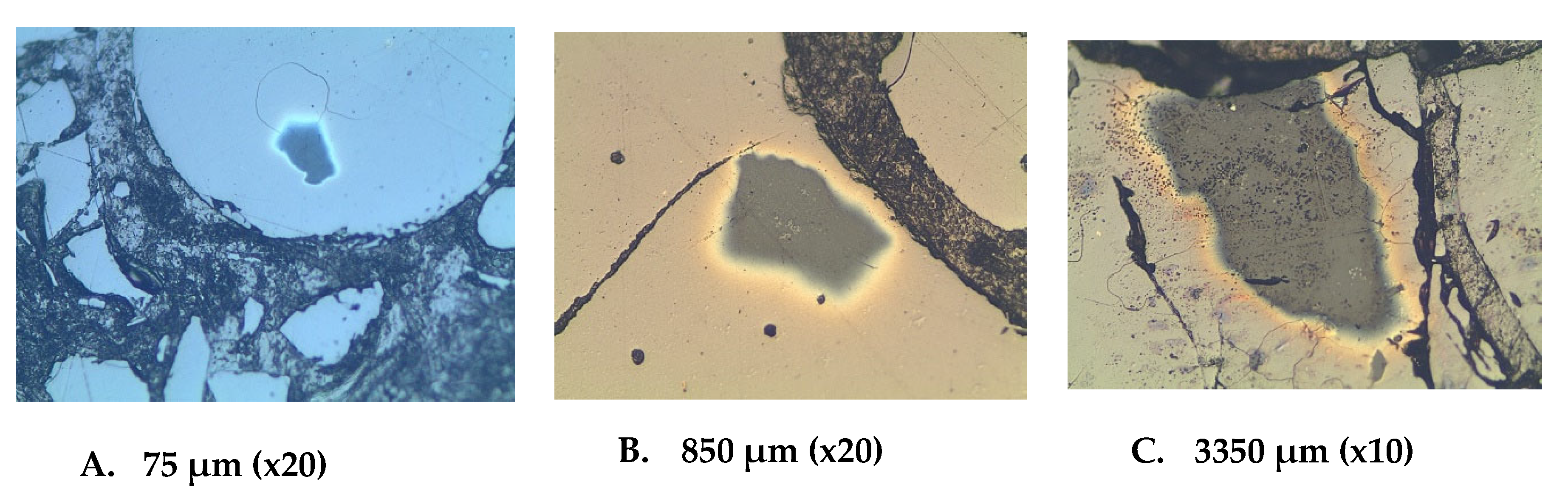 Preprints 80729 g014