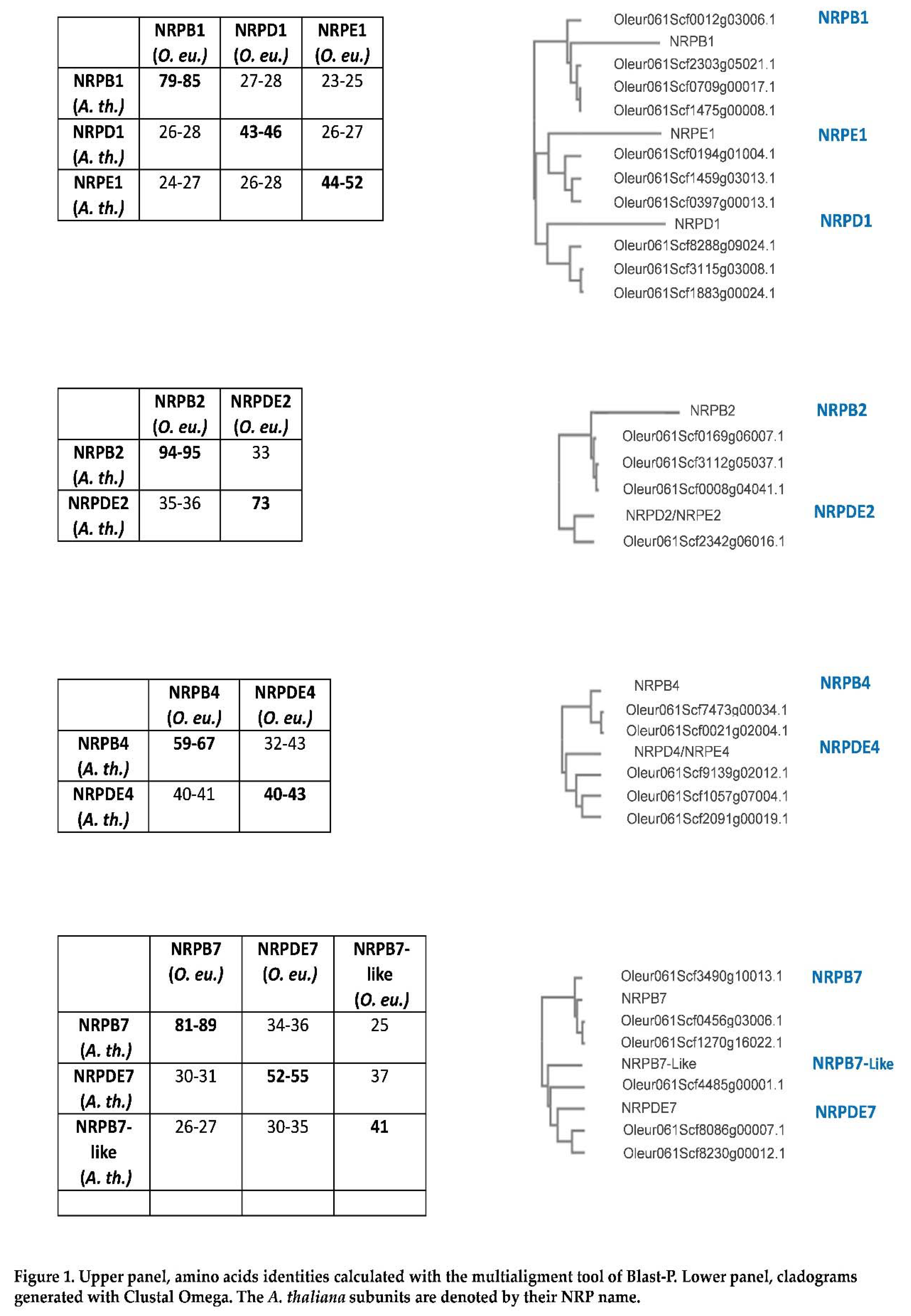 Preprints 87328 g001