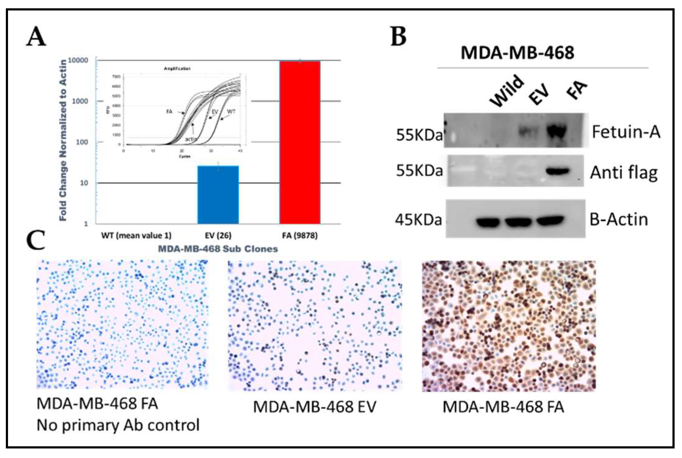 Preprints 85185 g001