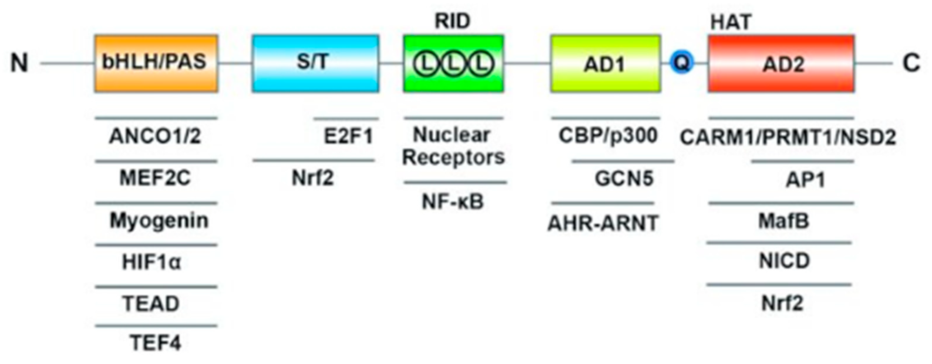 Preprints 87390 g004