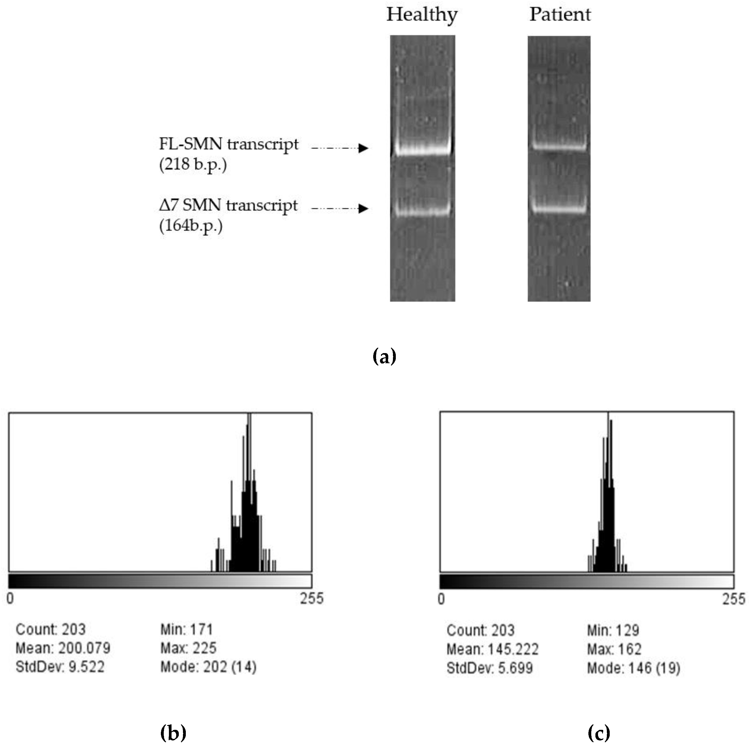 Preprints 85800 g004