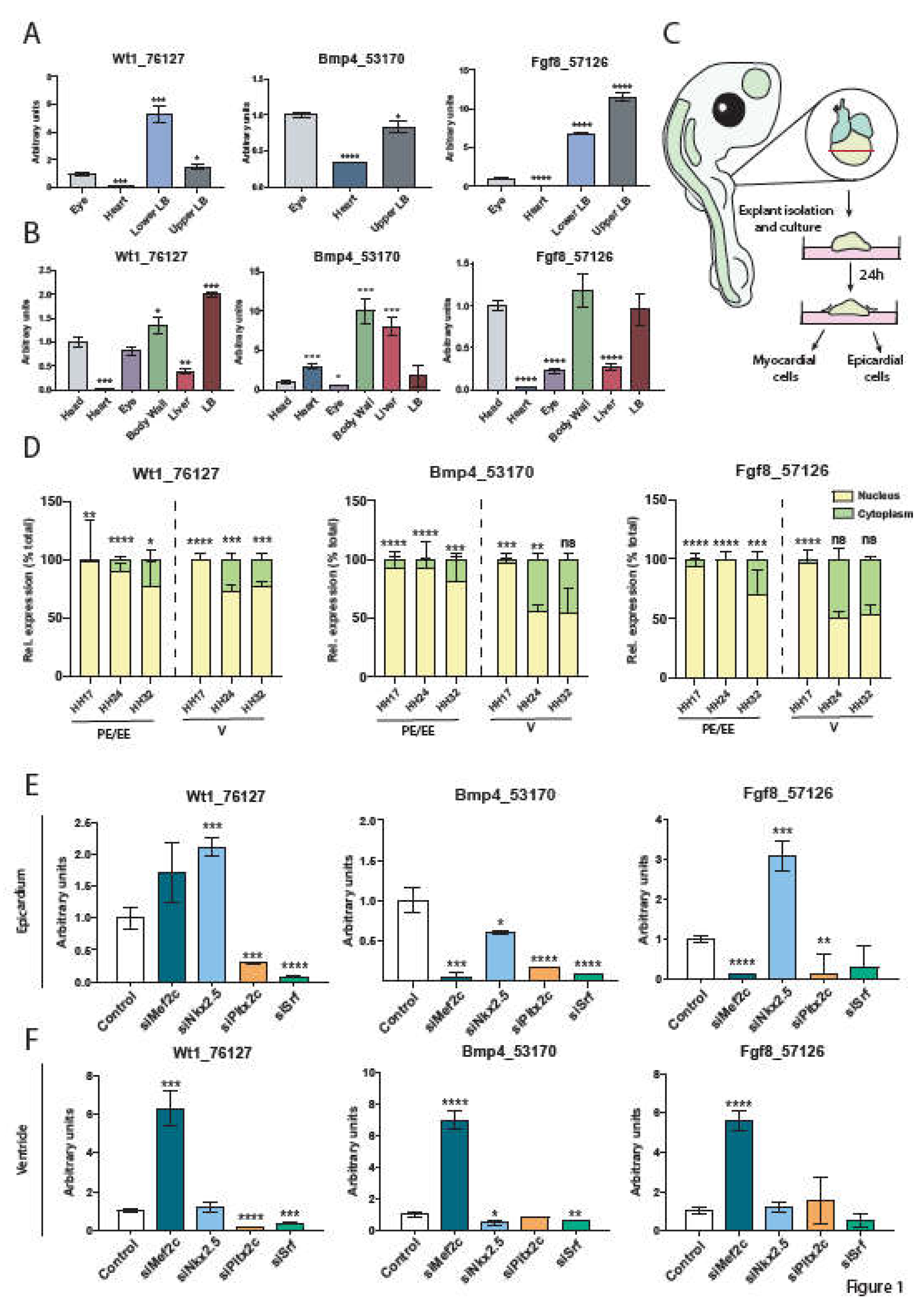 Preprints 113888 g001