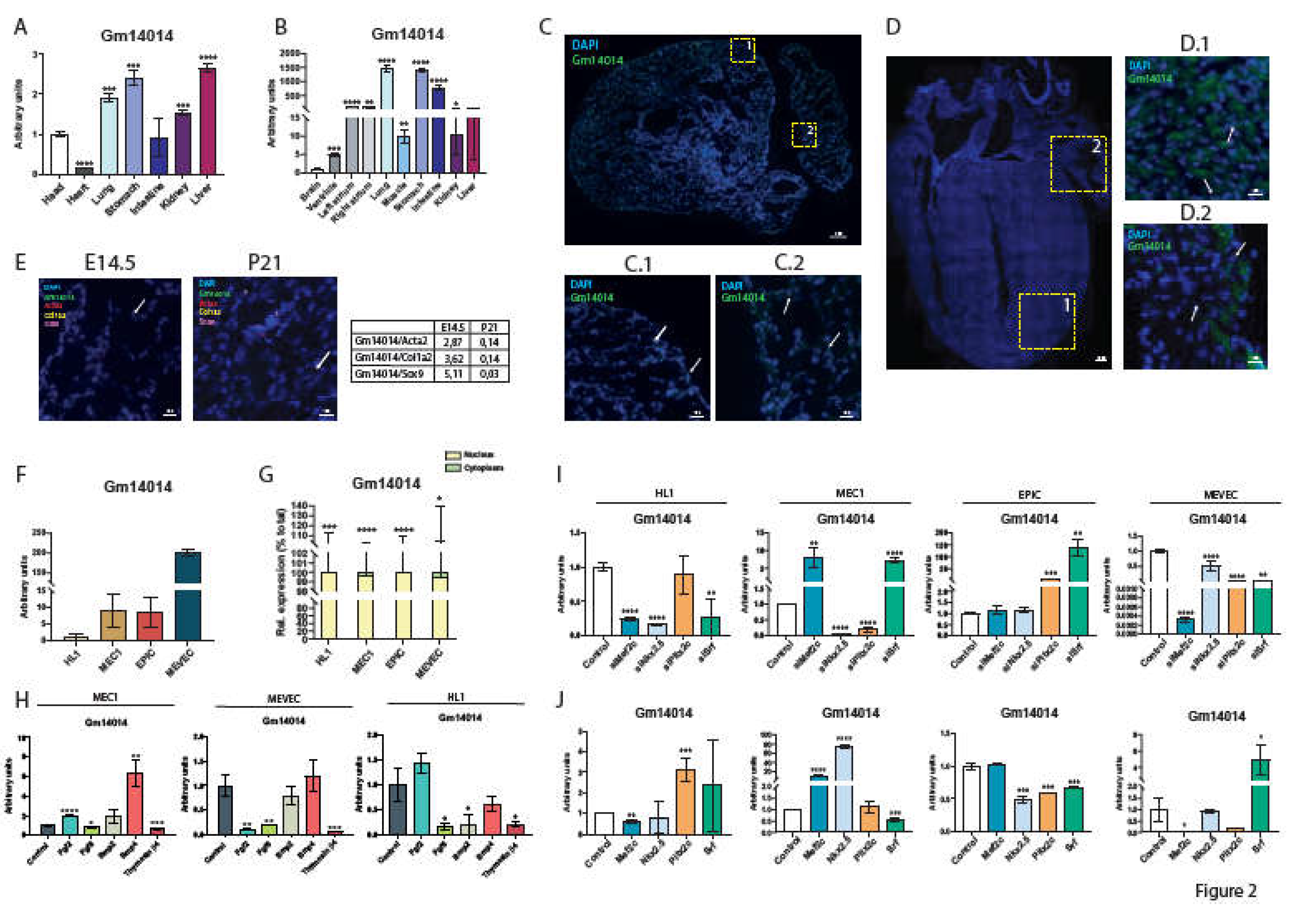 Preprints 113888 g002