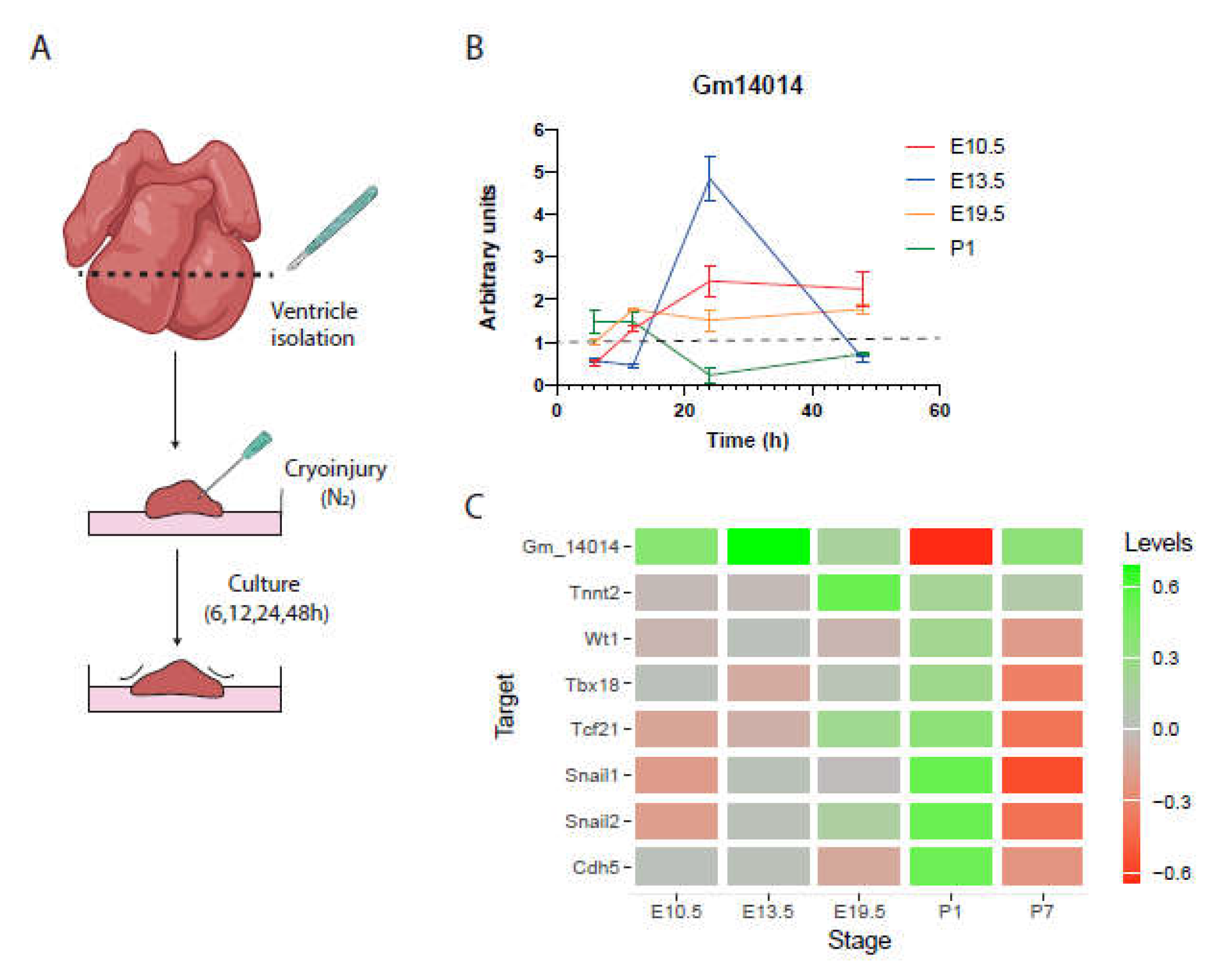 Preprints 113888 g003