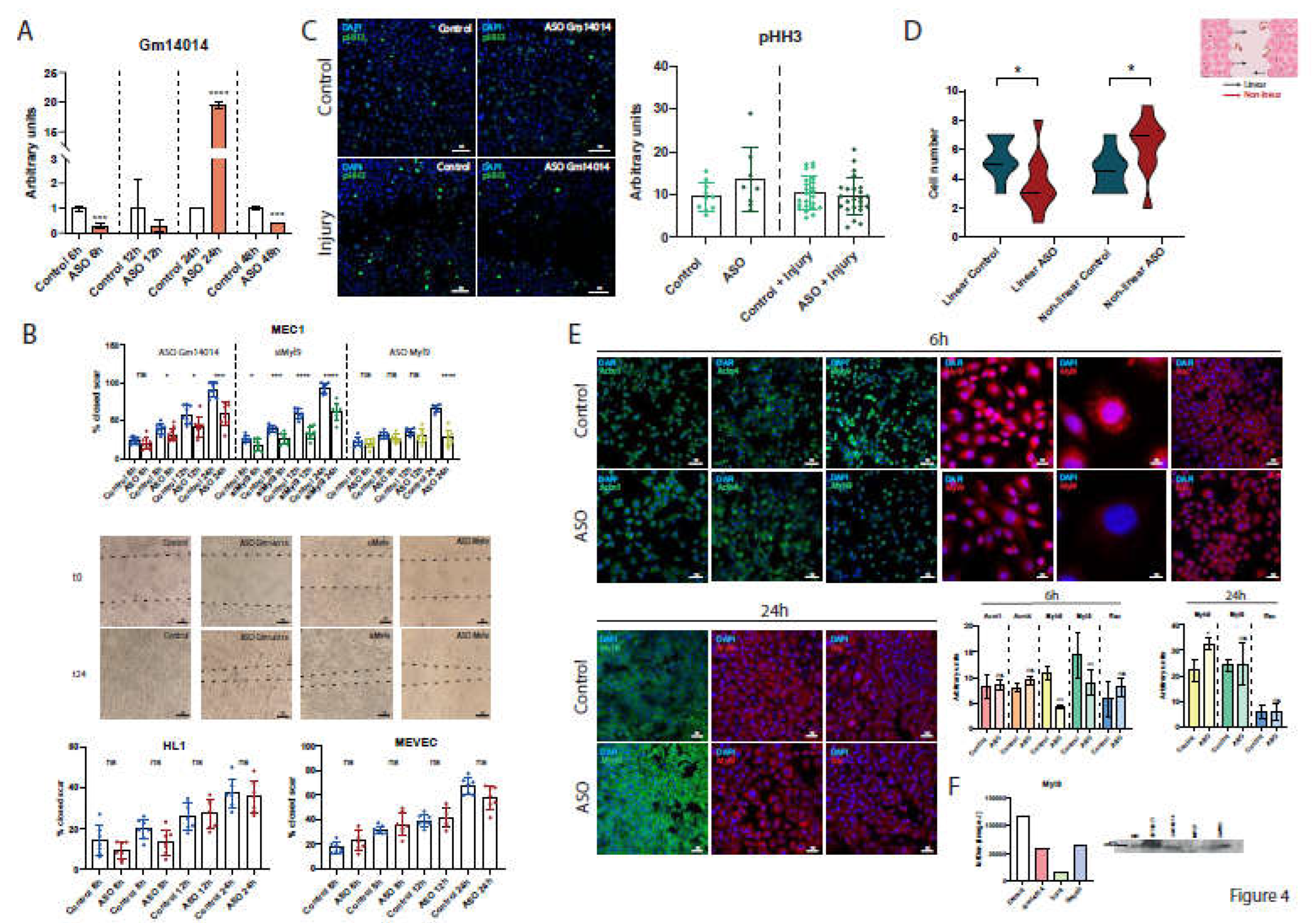 Preprints 113888 g004