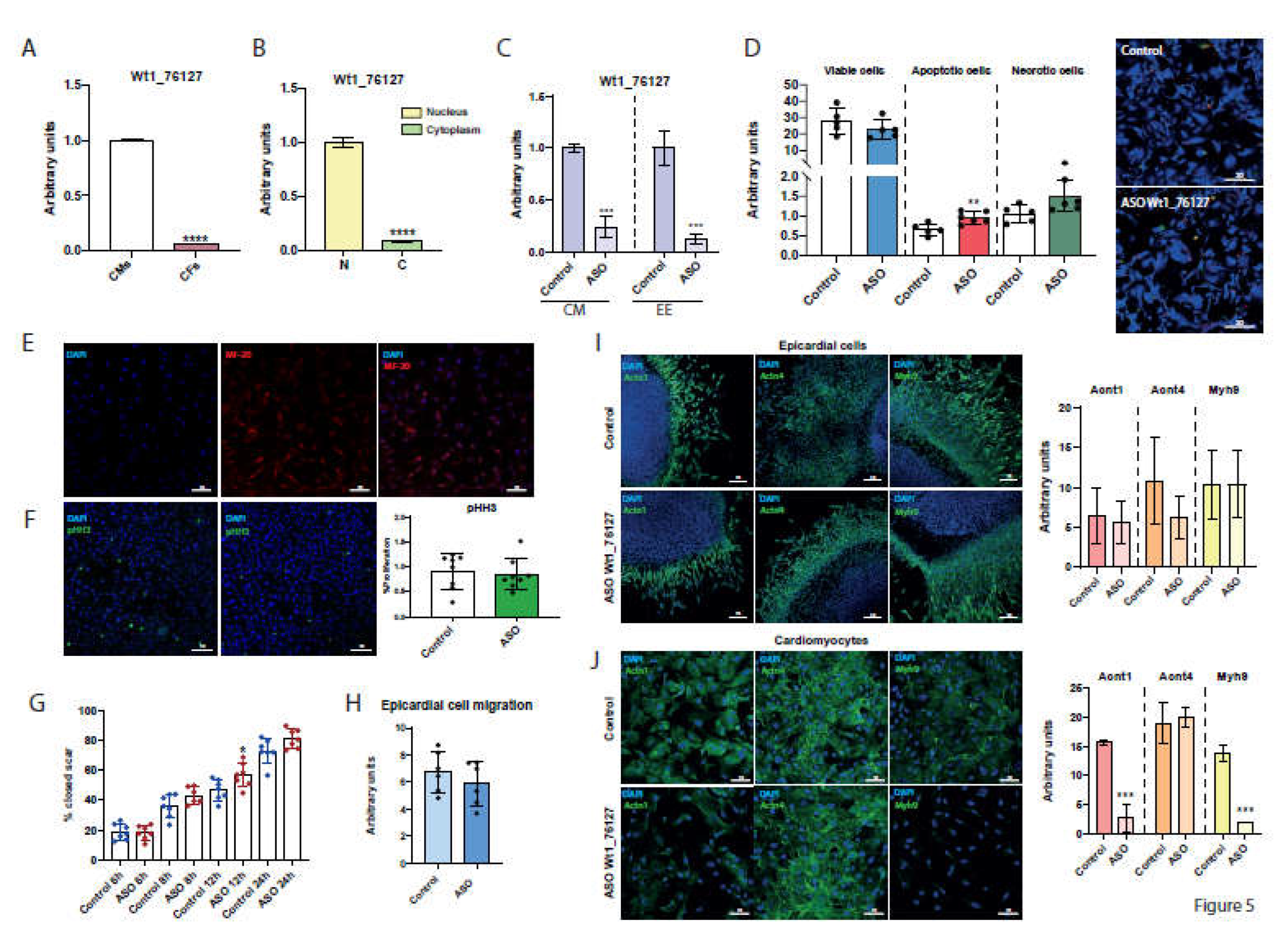 Preprints 113888 g005