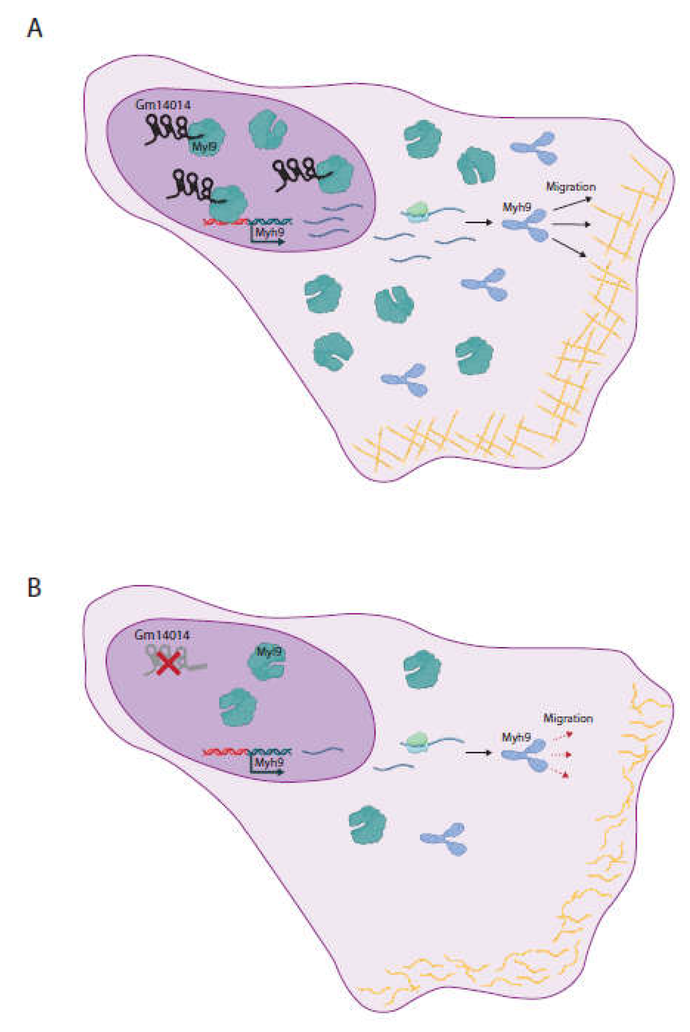 Preprints 113888 g006