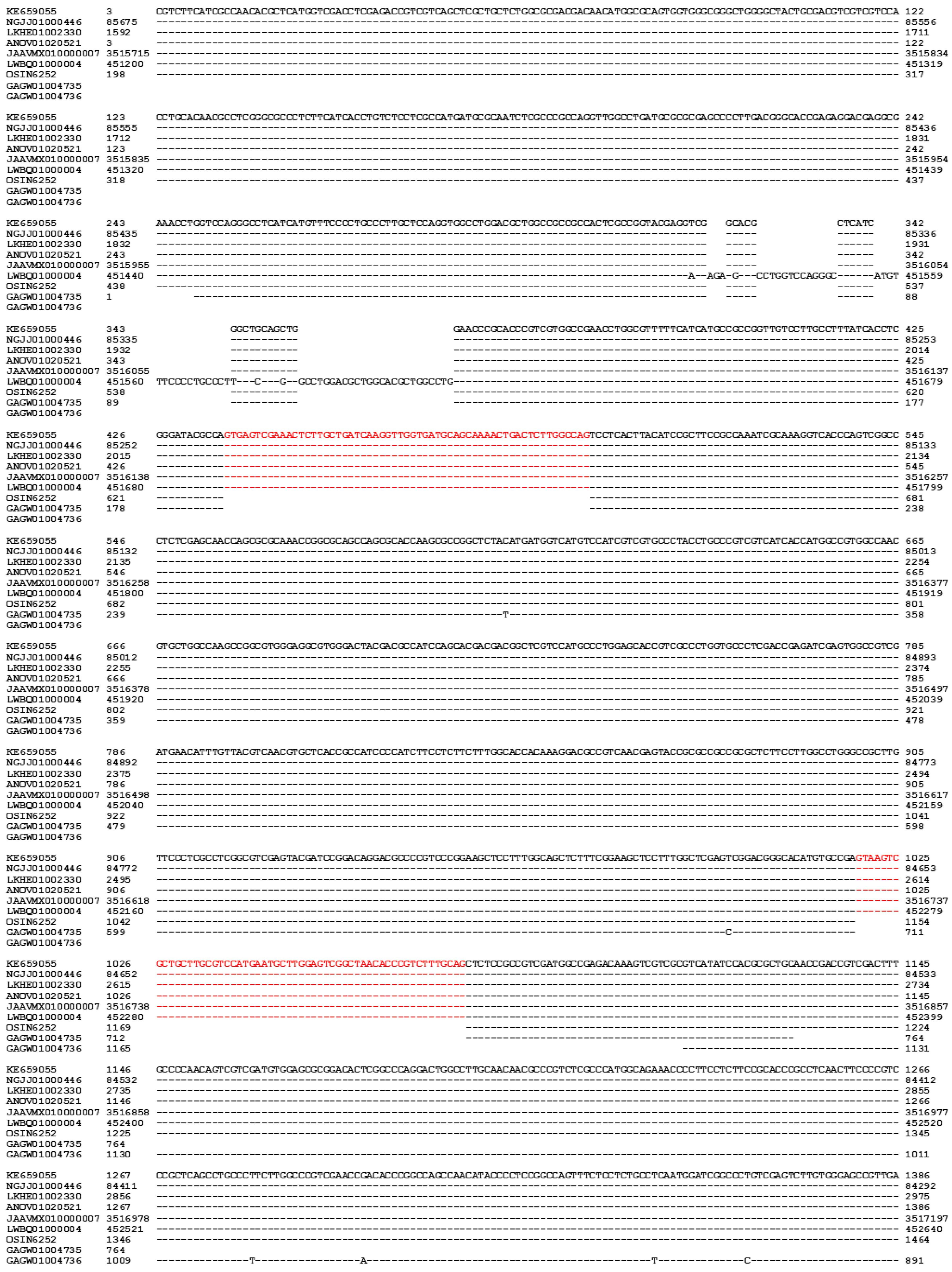 Preprints 102565 g007