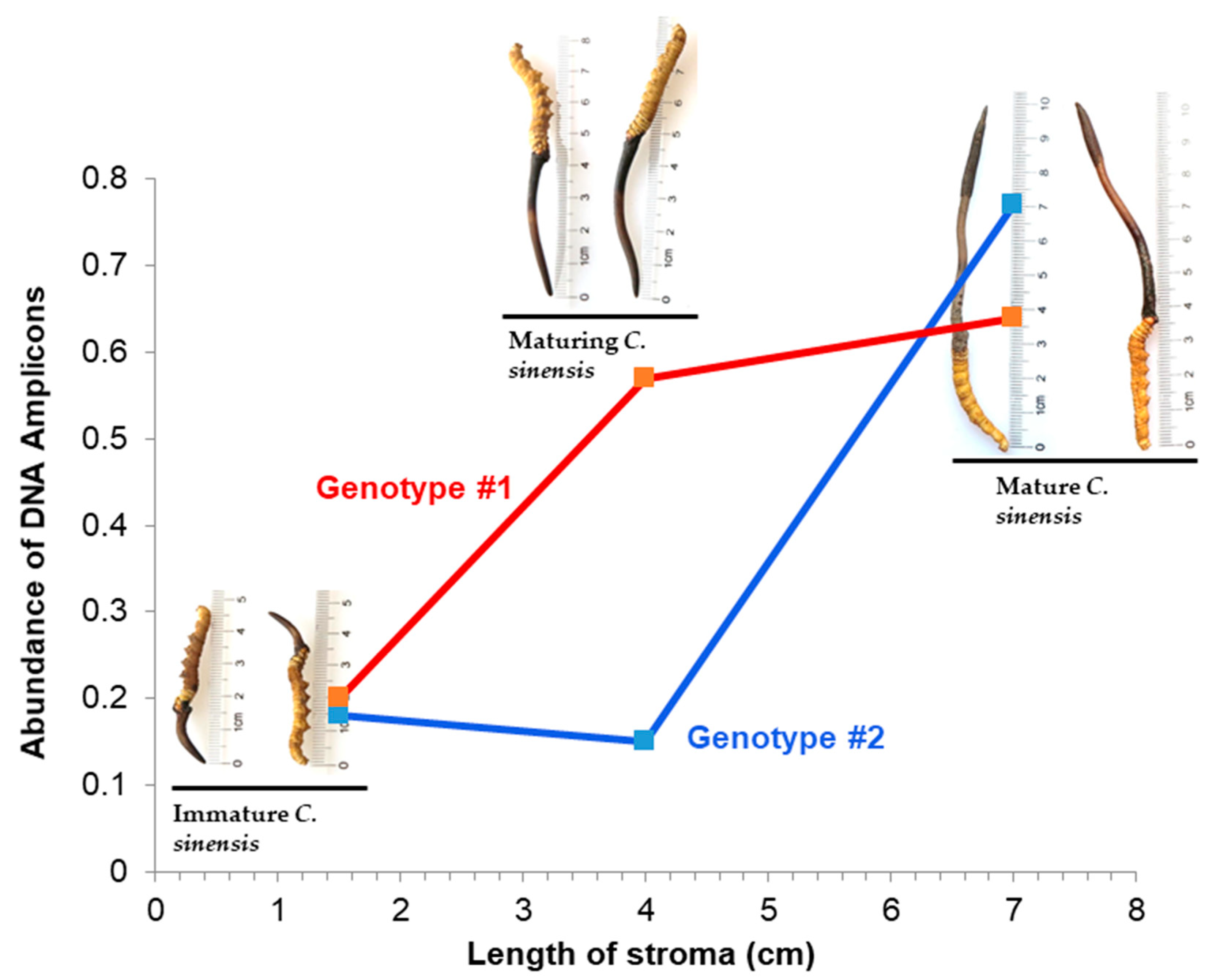 Preprints 102565 g012