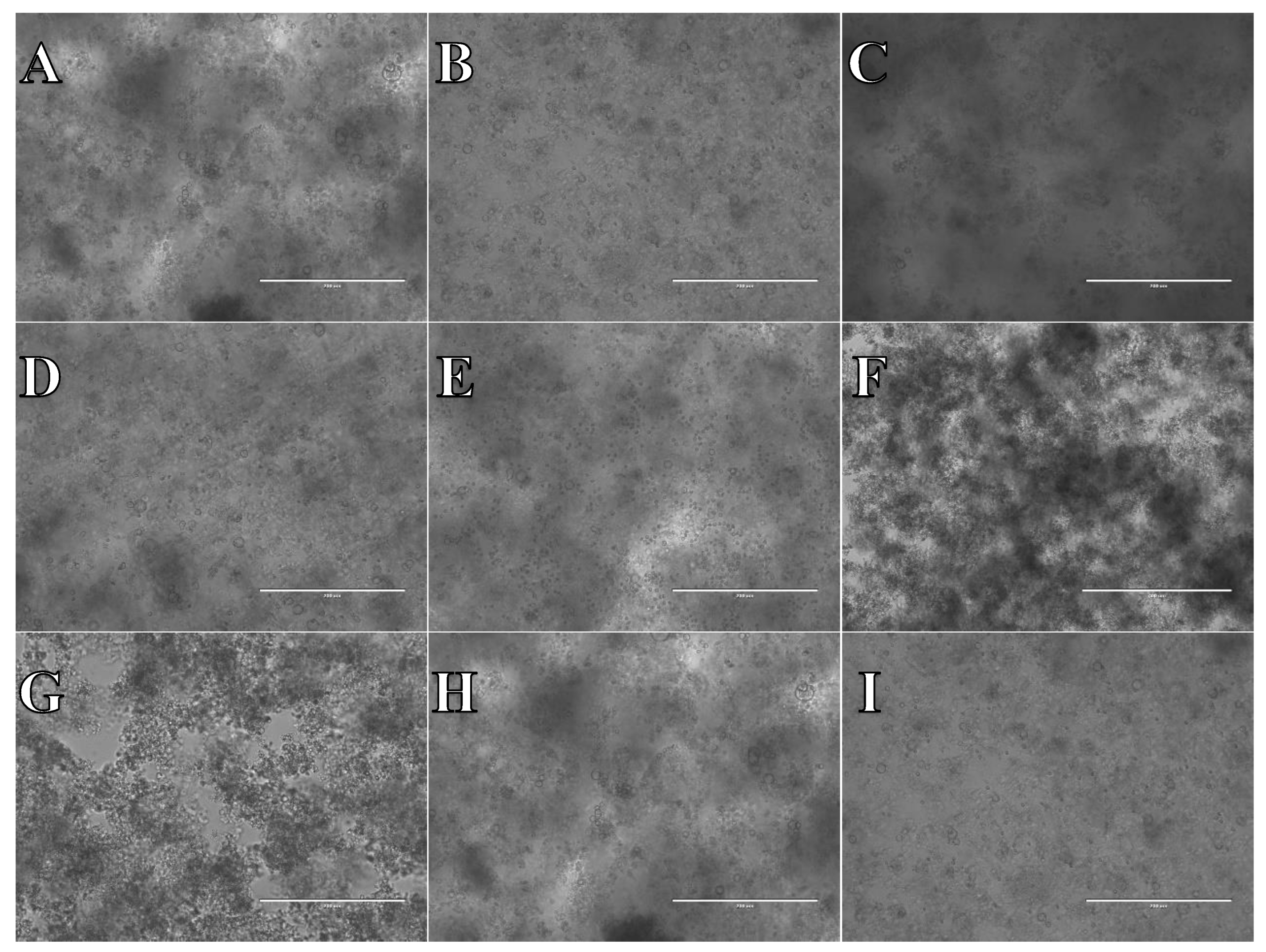 Preprints 107680 g015