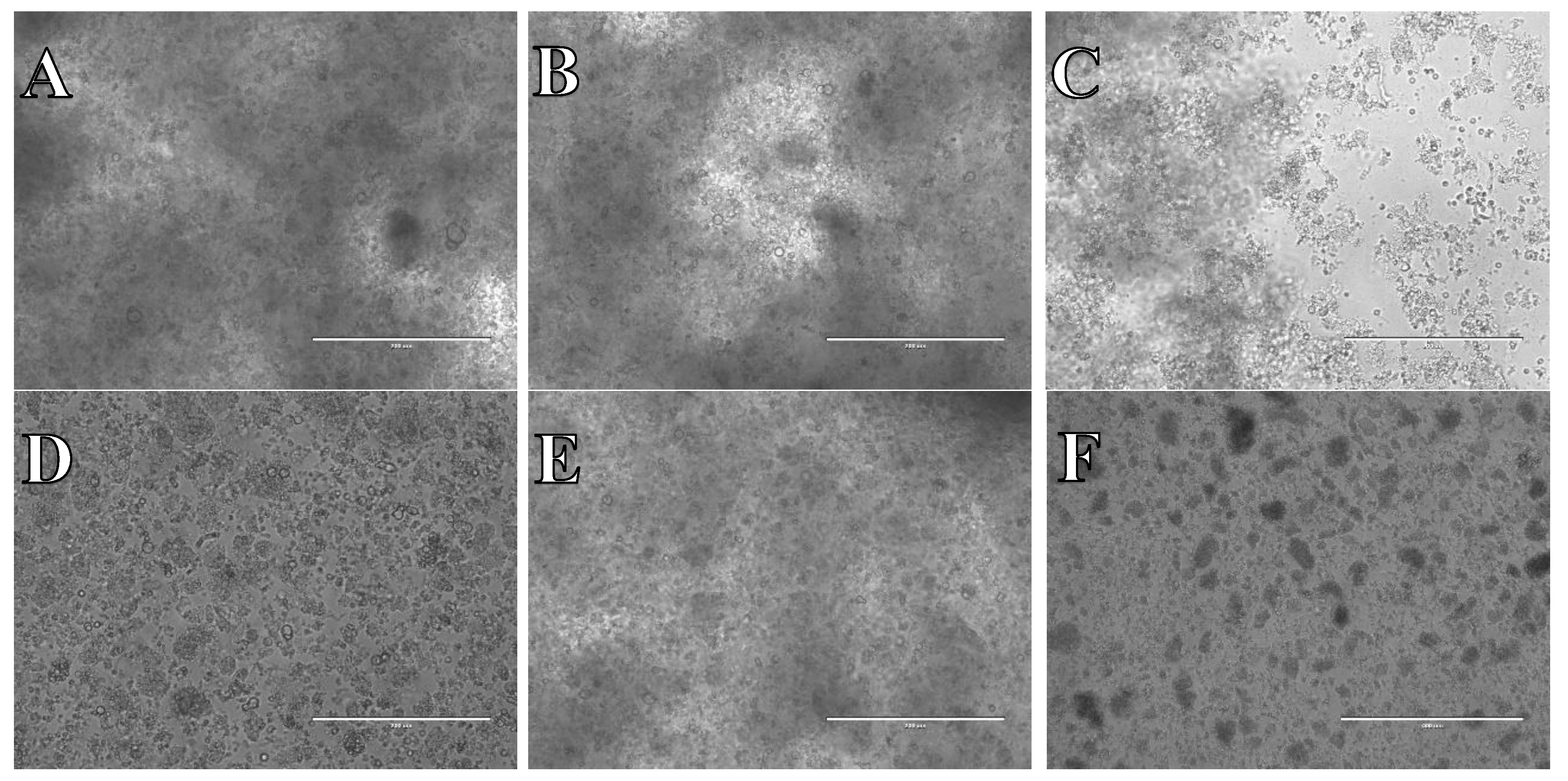 Preprints 107680 g016a