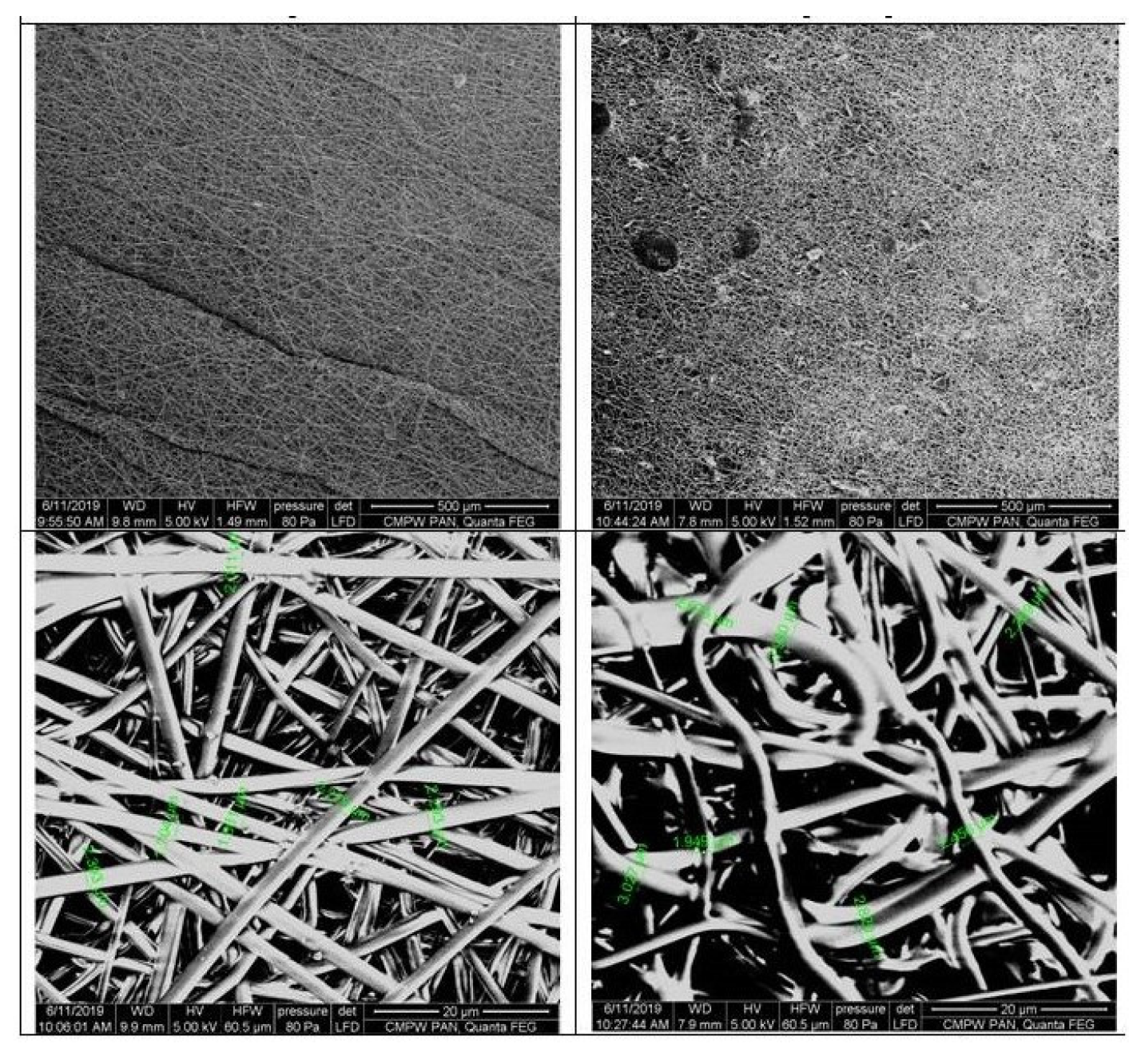 Preprints 92489 g004