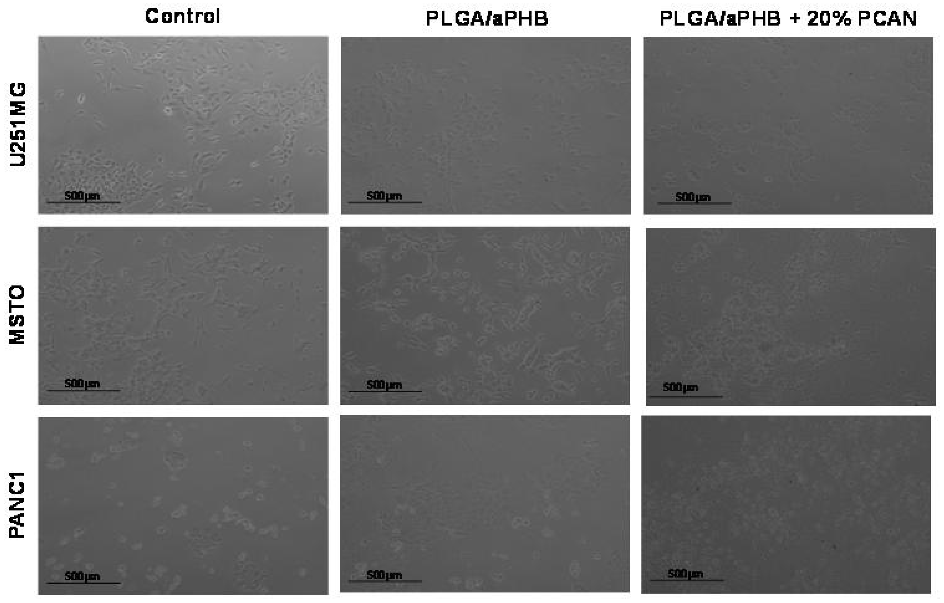 Preprints 92489 g012