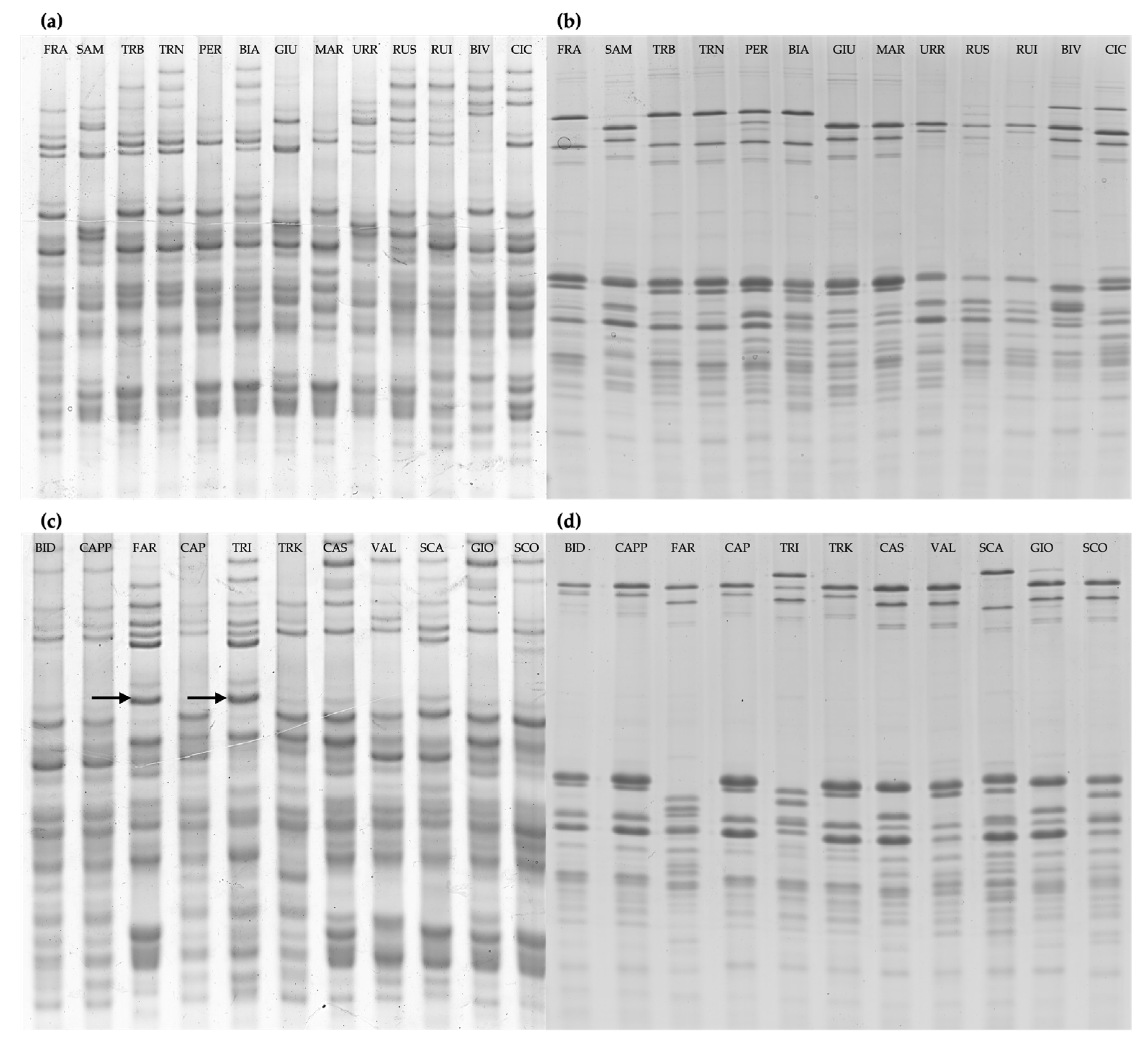 Preprints 98694 g001