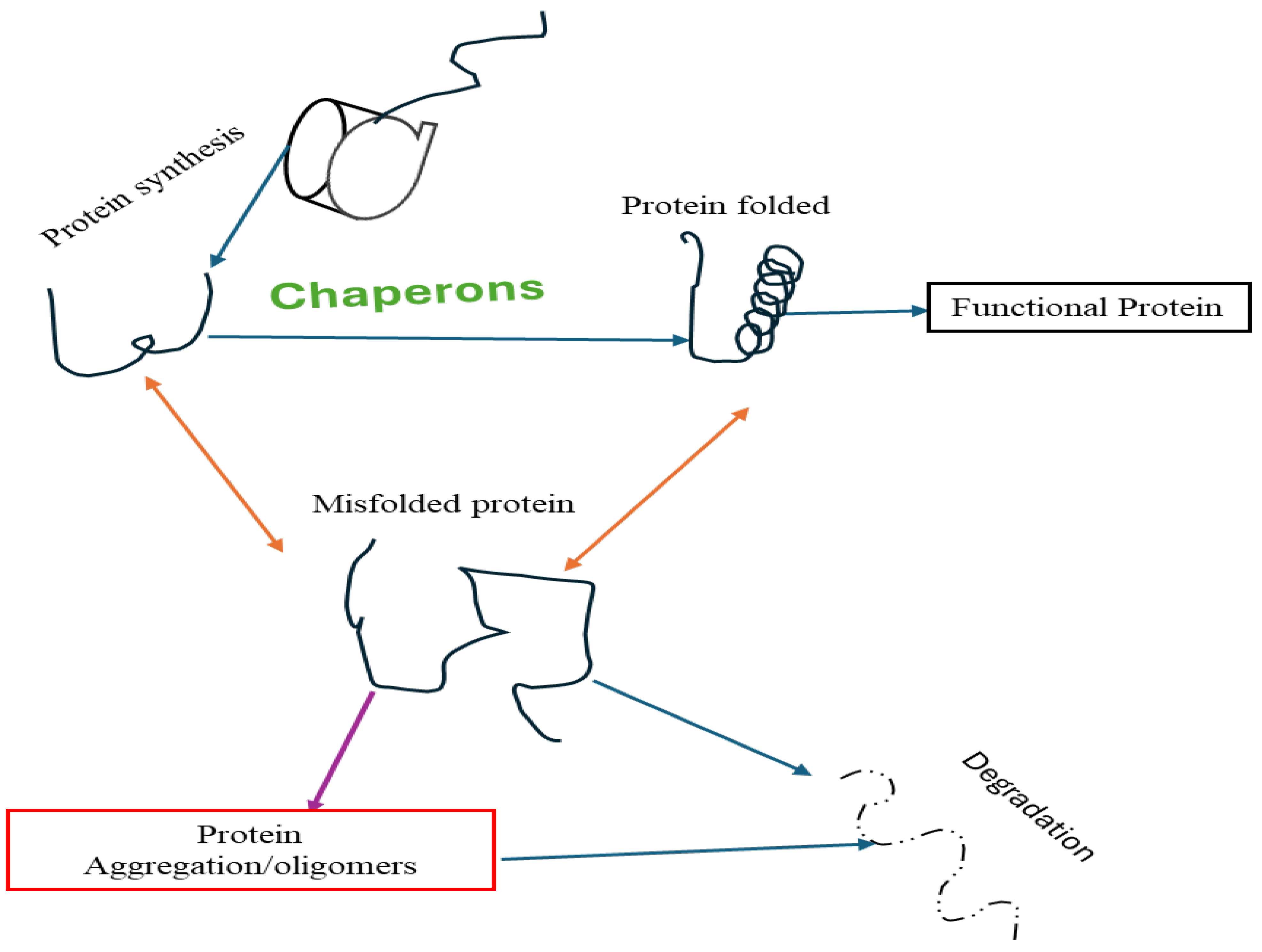 Preprints 104625 g002