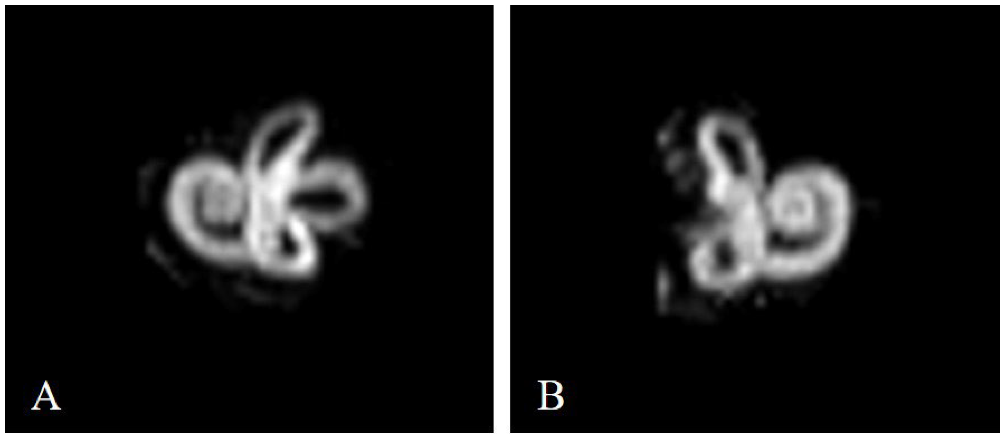 Preprints 116096 g003