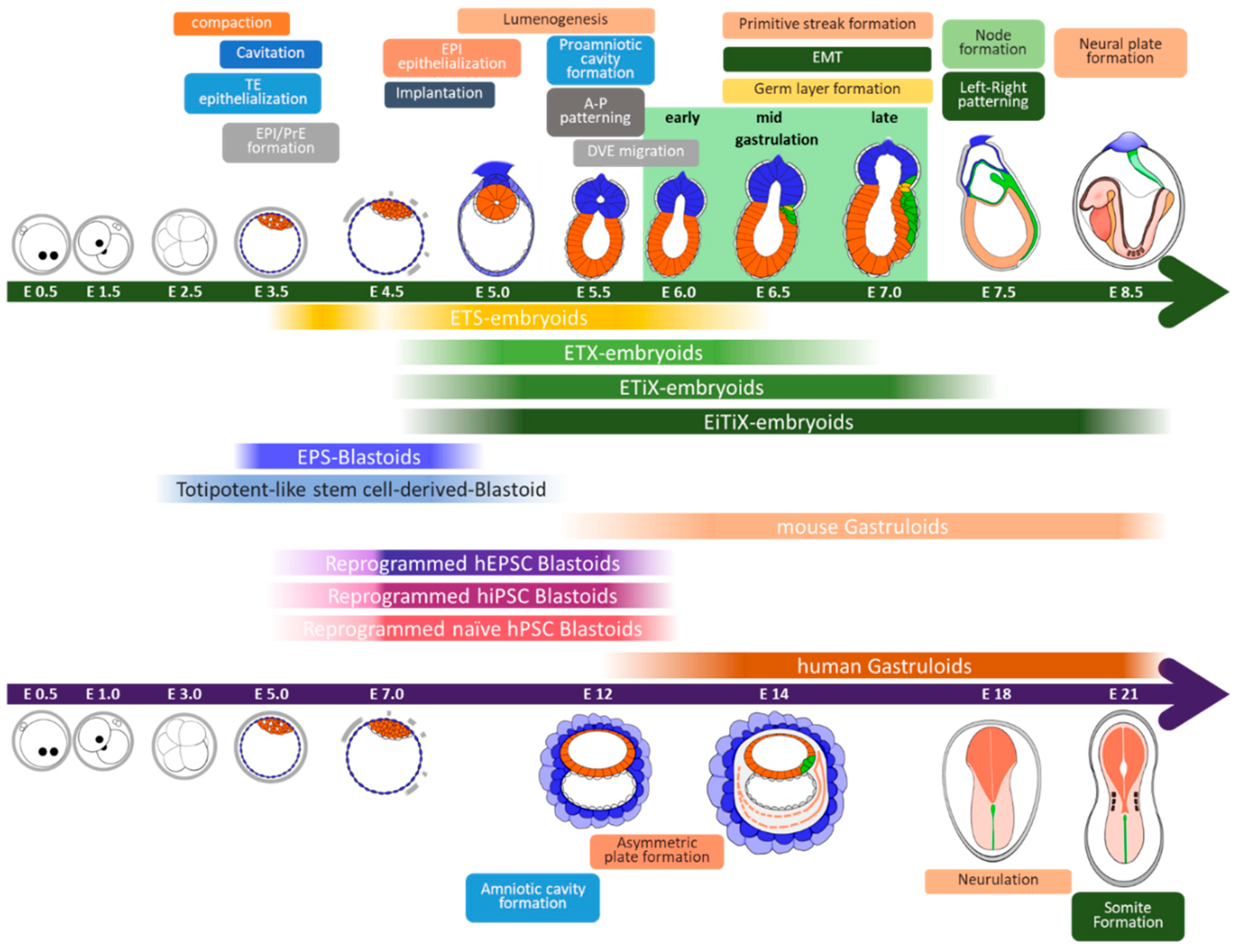 Preprints 81409 g001