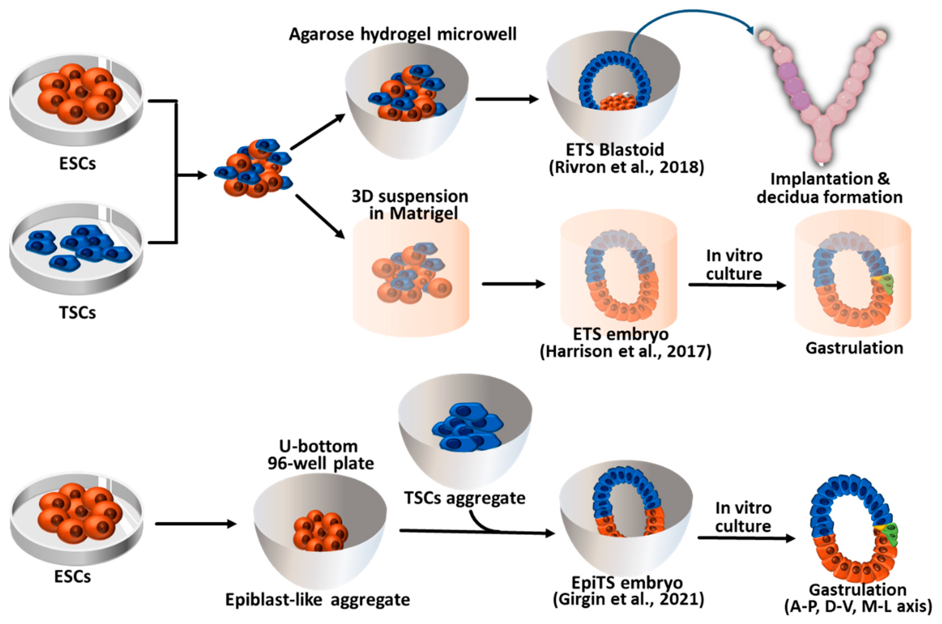 Preprints 81409 g002