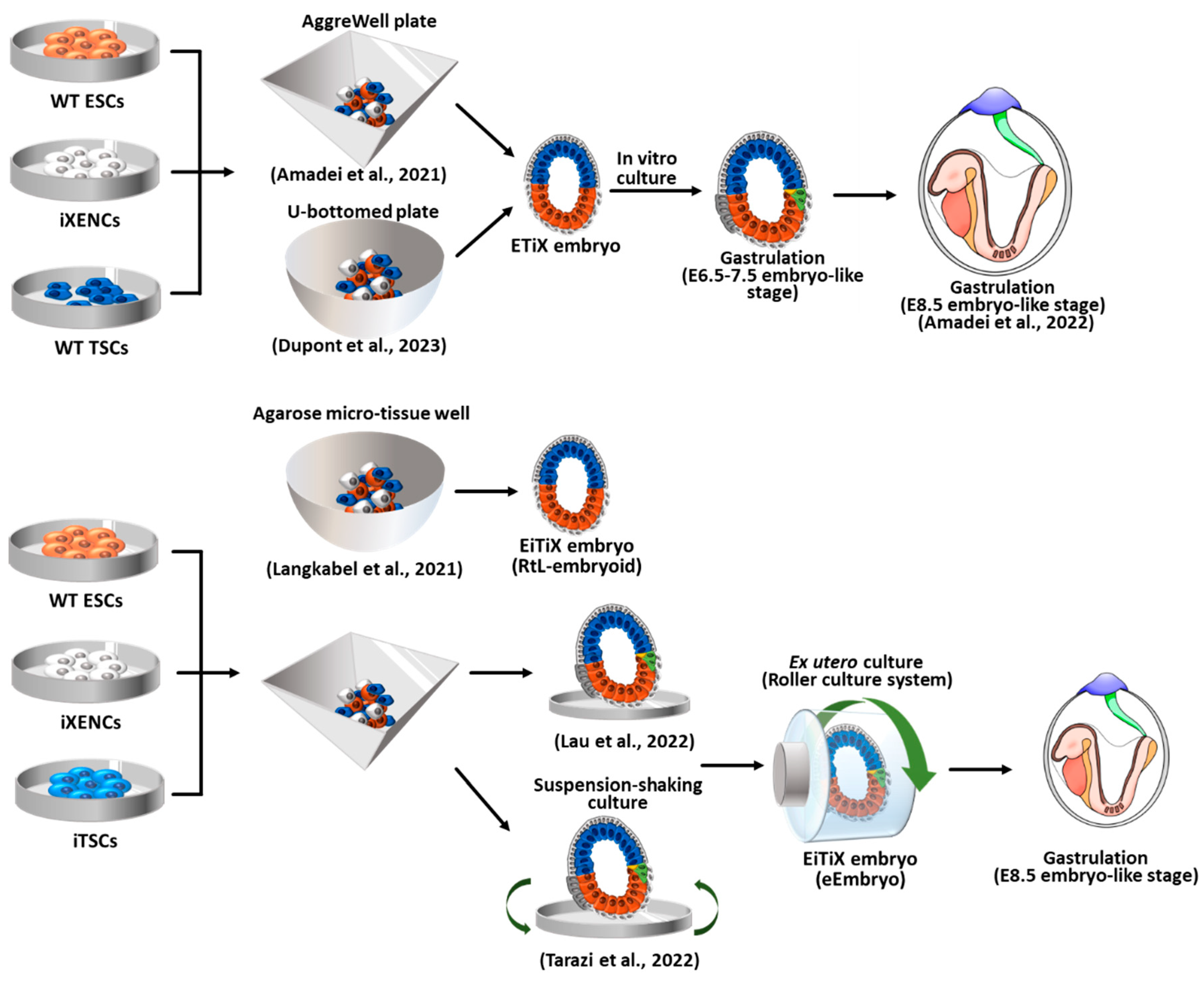 Preprints 81409 g004