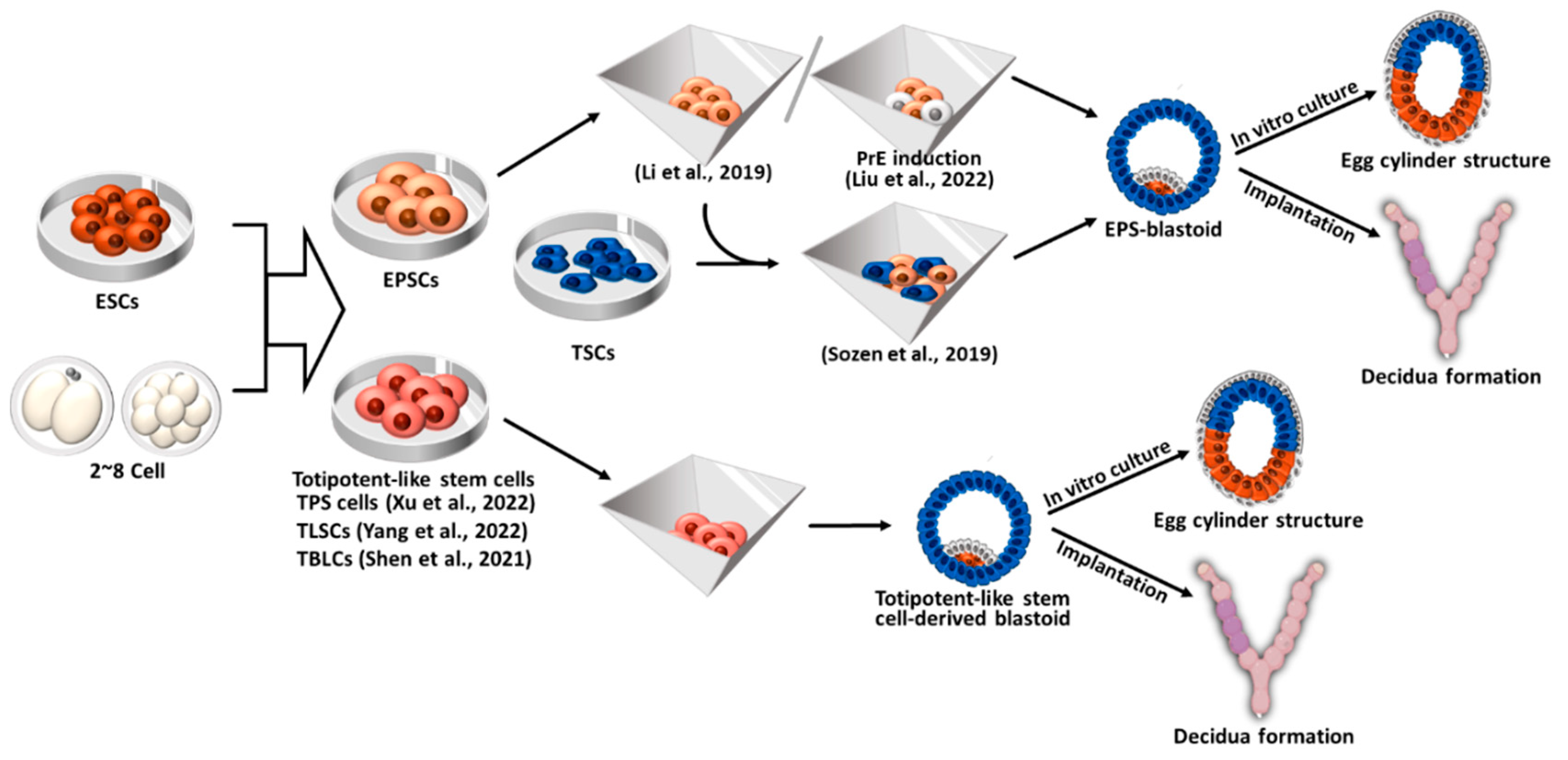 Preprints 81409 g005