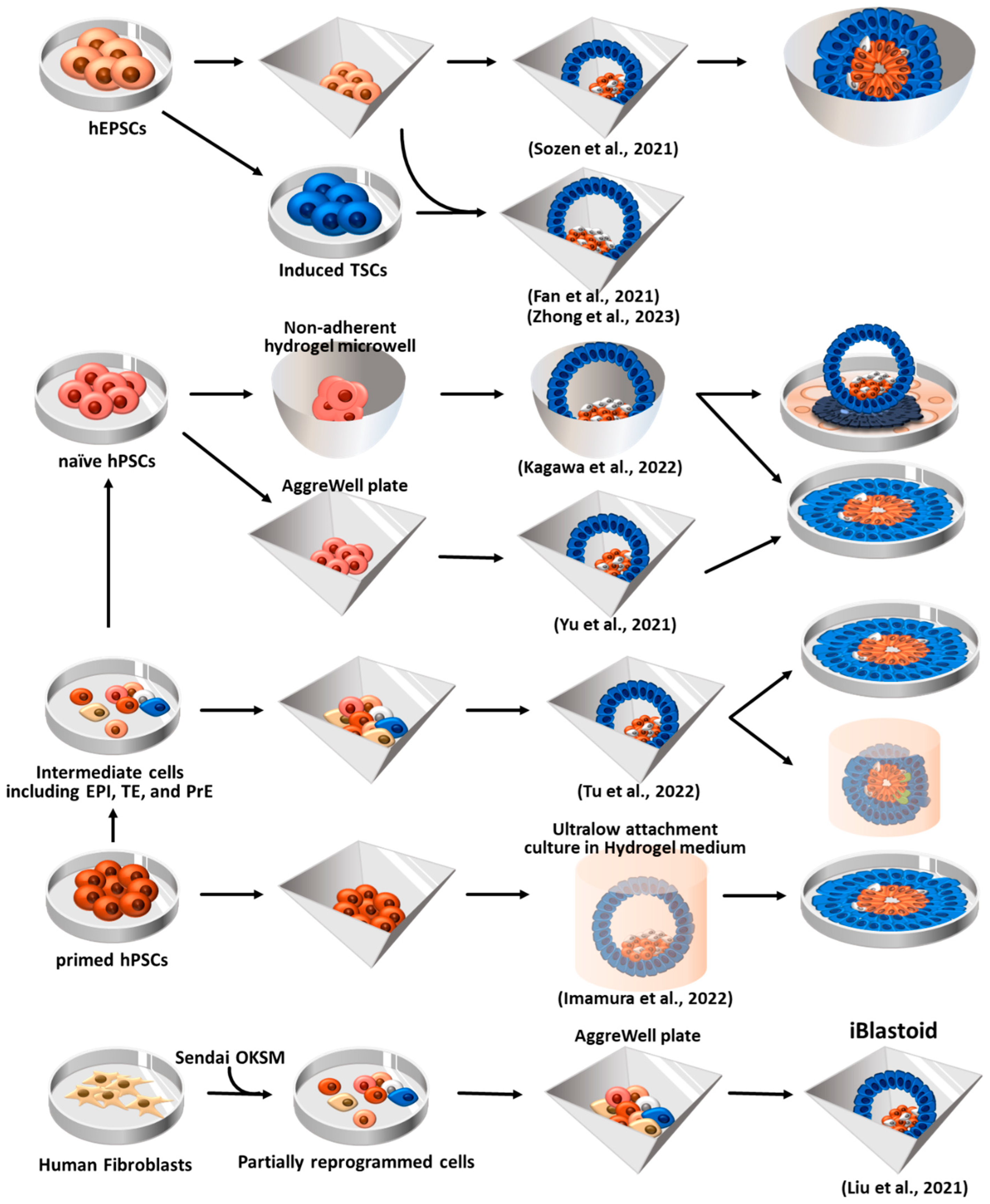 Preprints 81409 g006