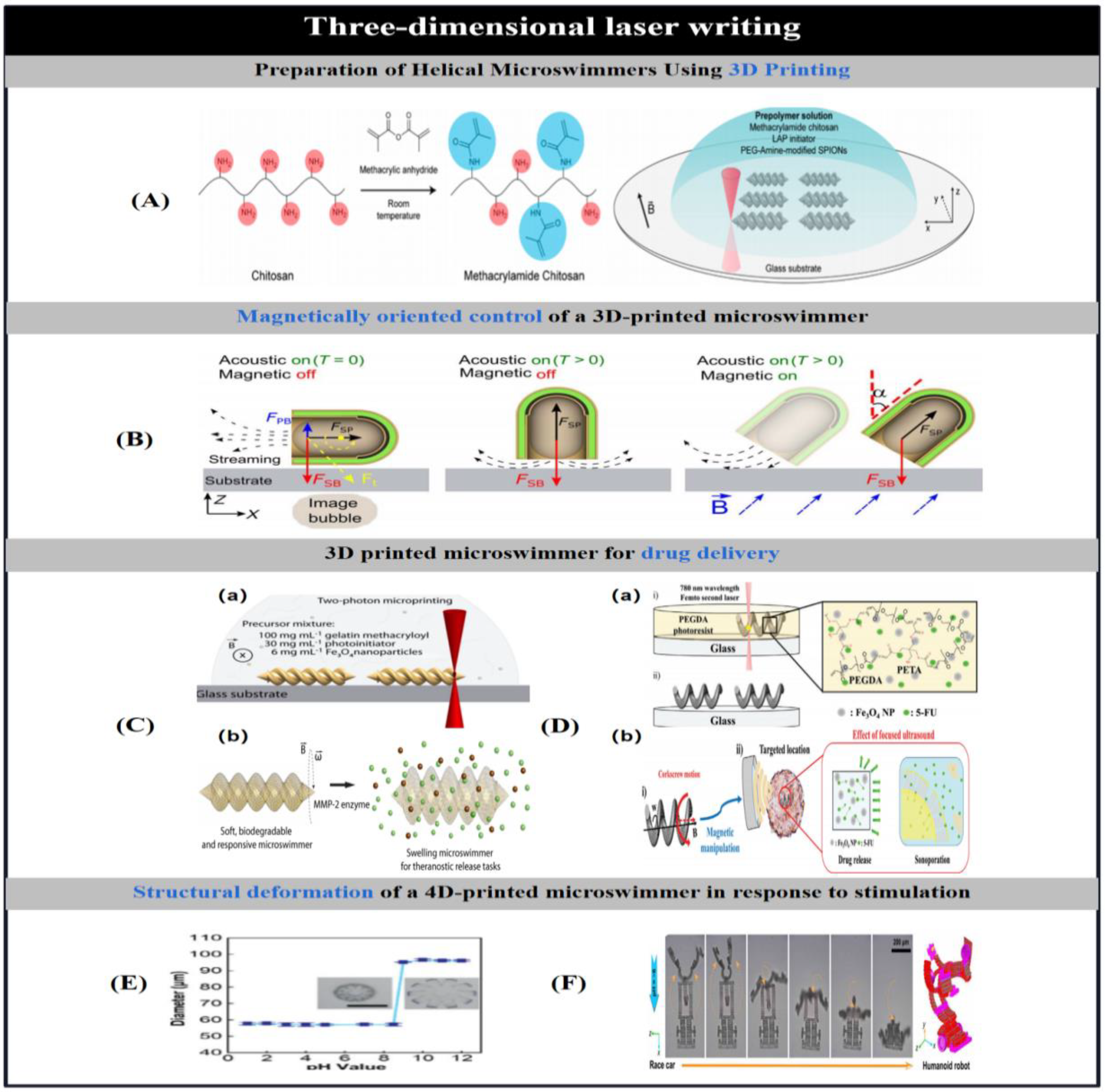 Preprints 91049 g006