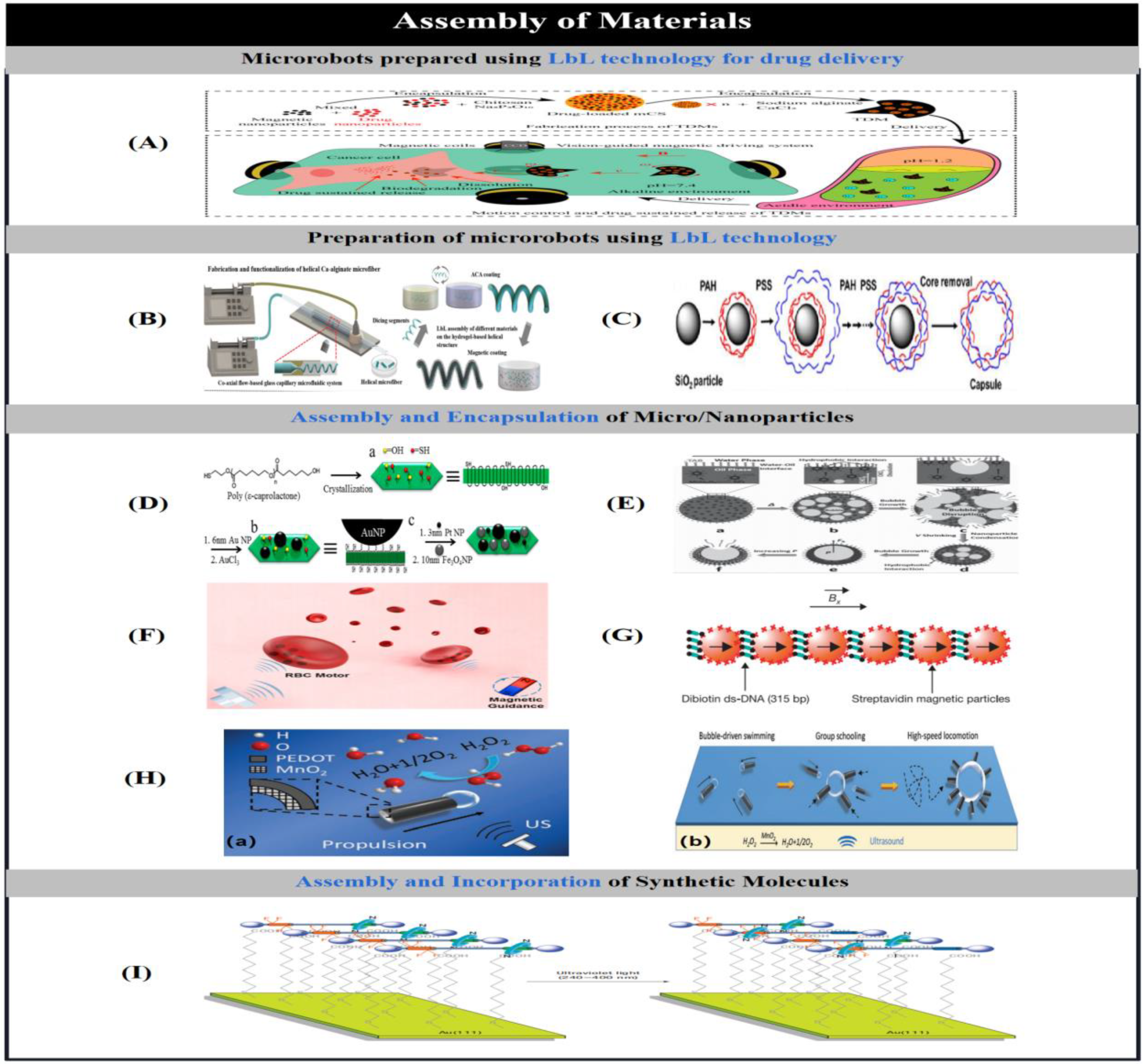 Preprints 91049 g007