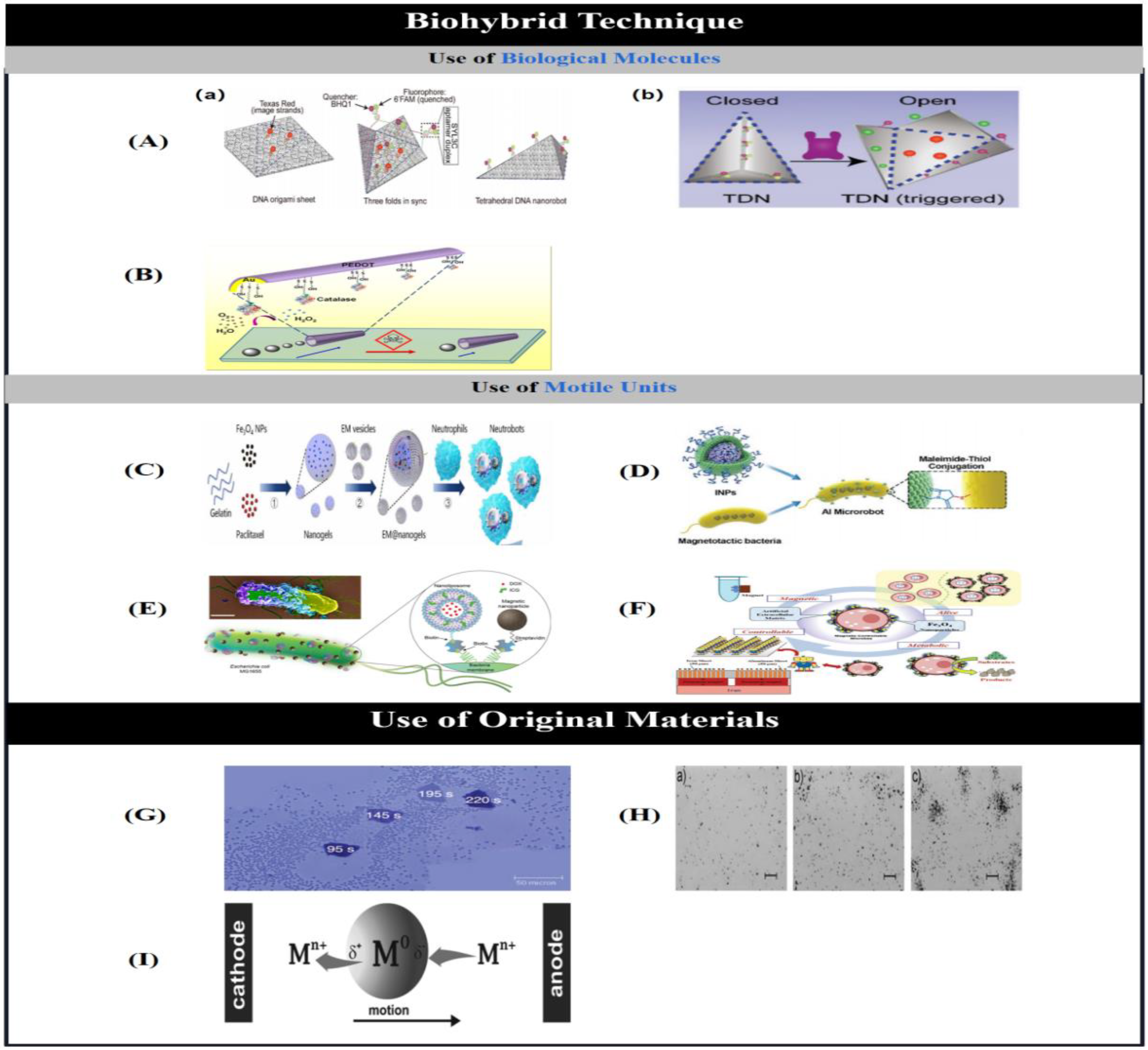 Preprints 91049 g008