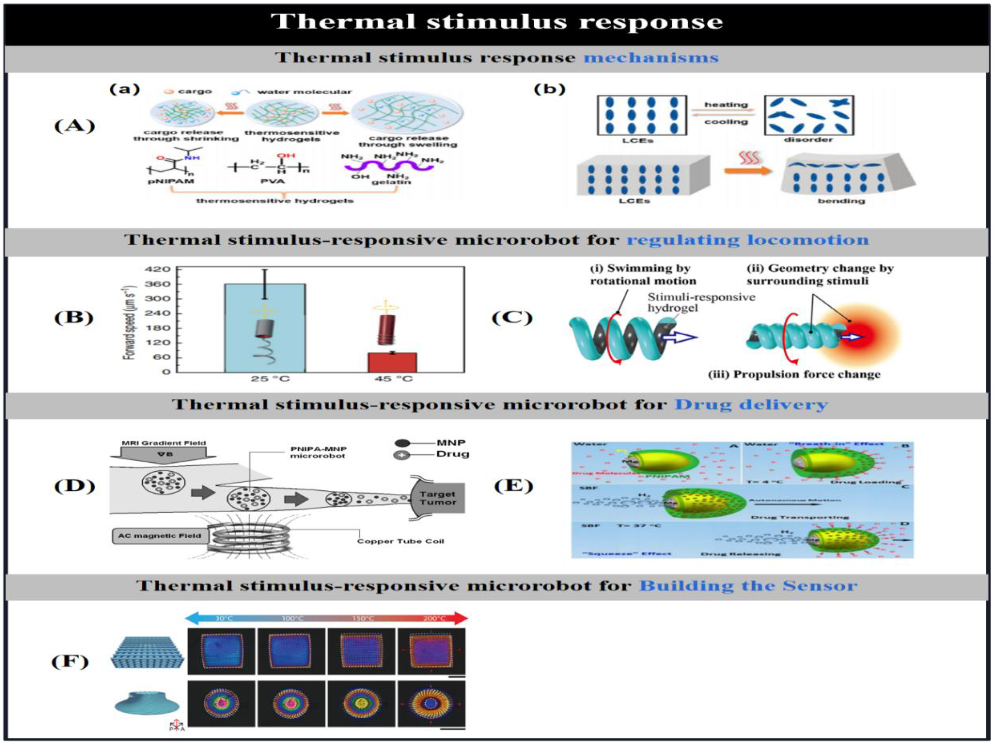 Preprints 91049 g009