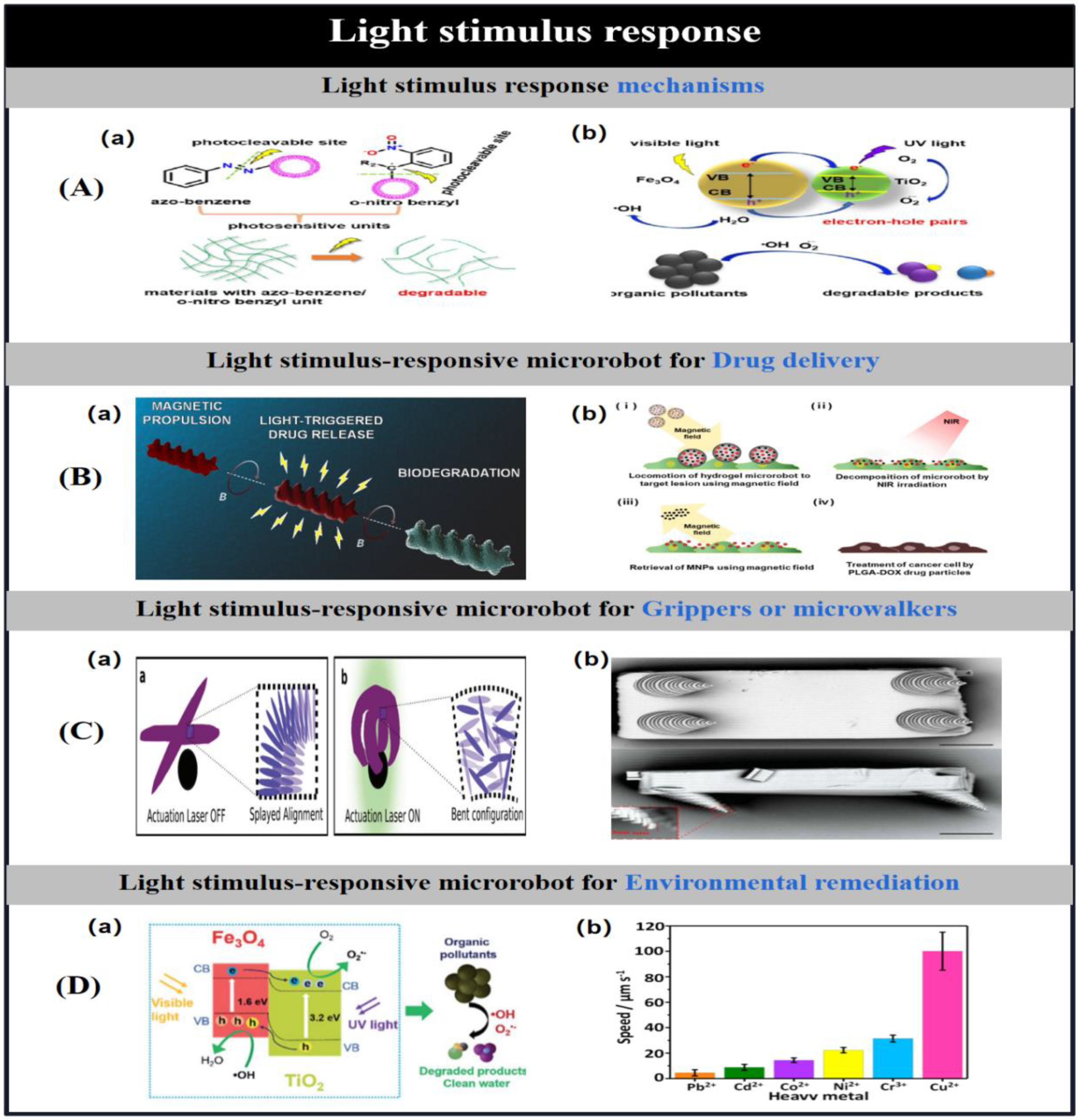 Preprints 91049 g010