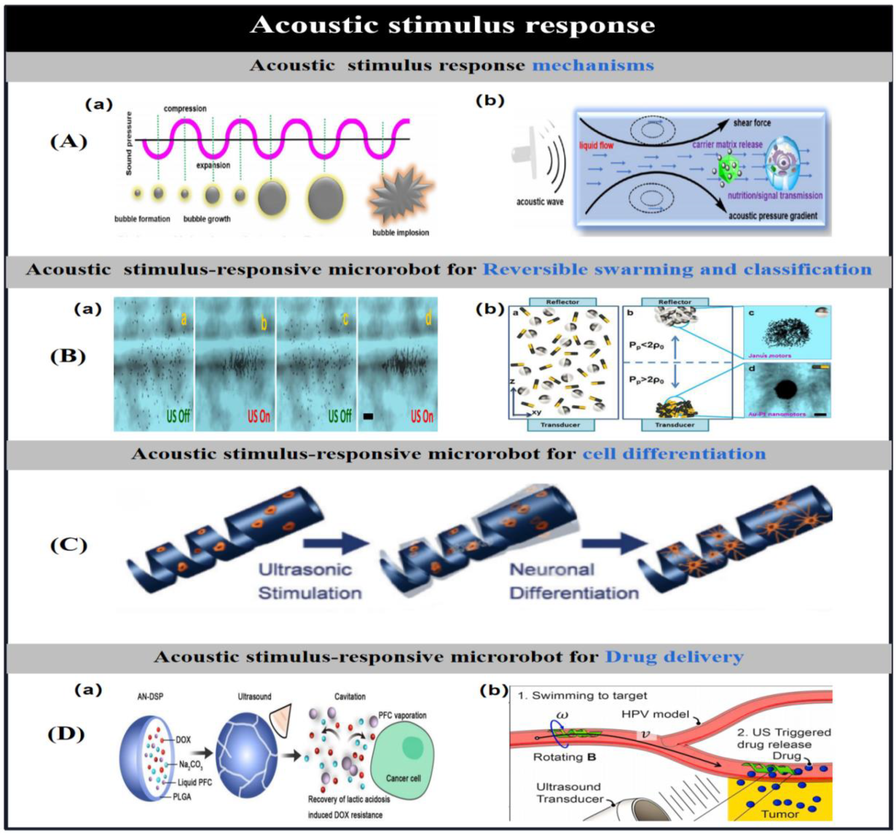 Preprints 91049 g011