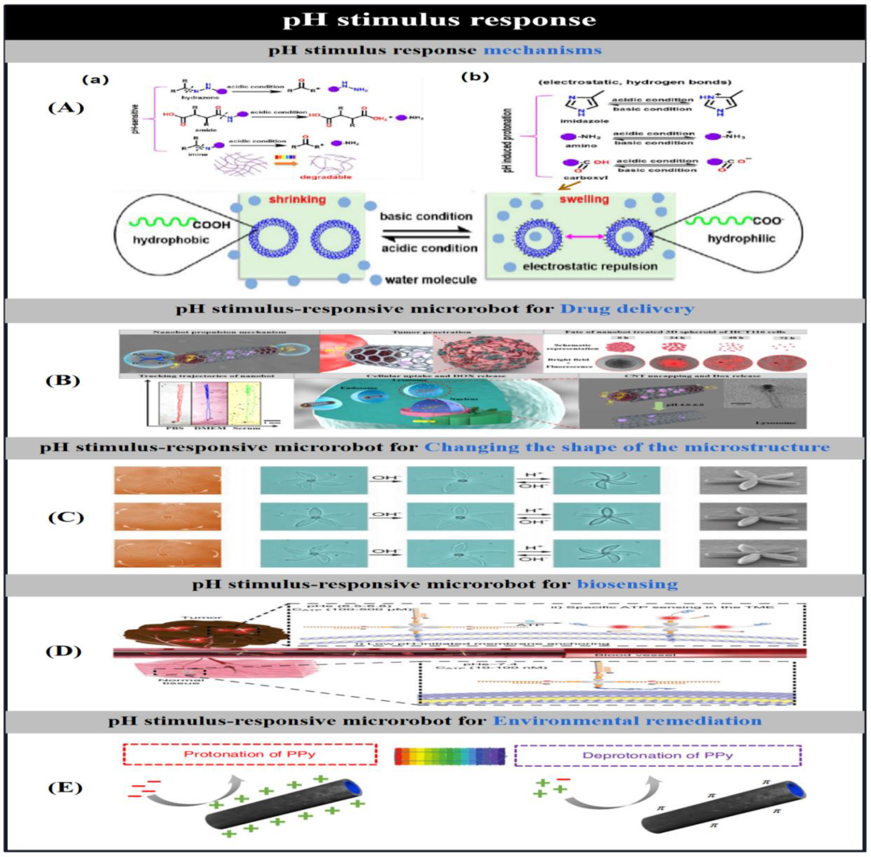 Preprints 91049 g012