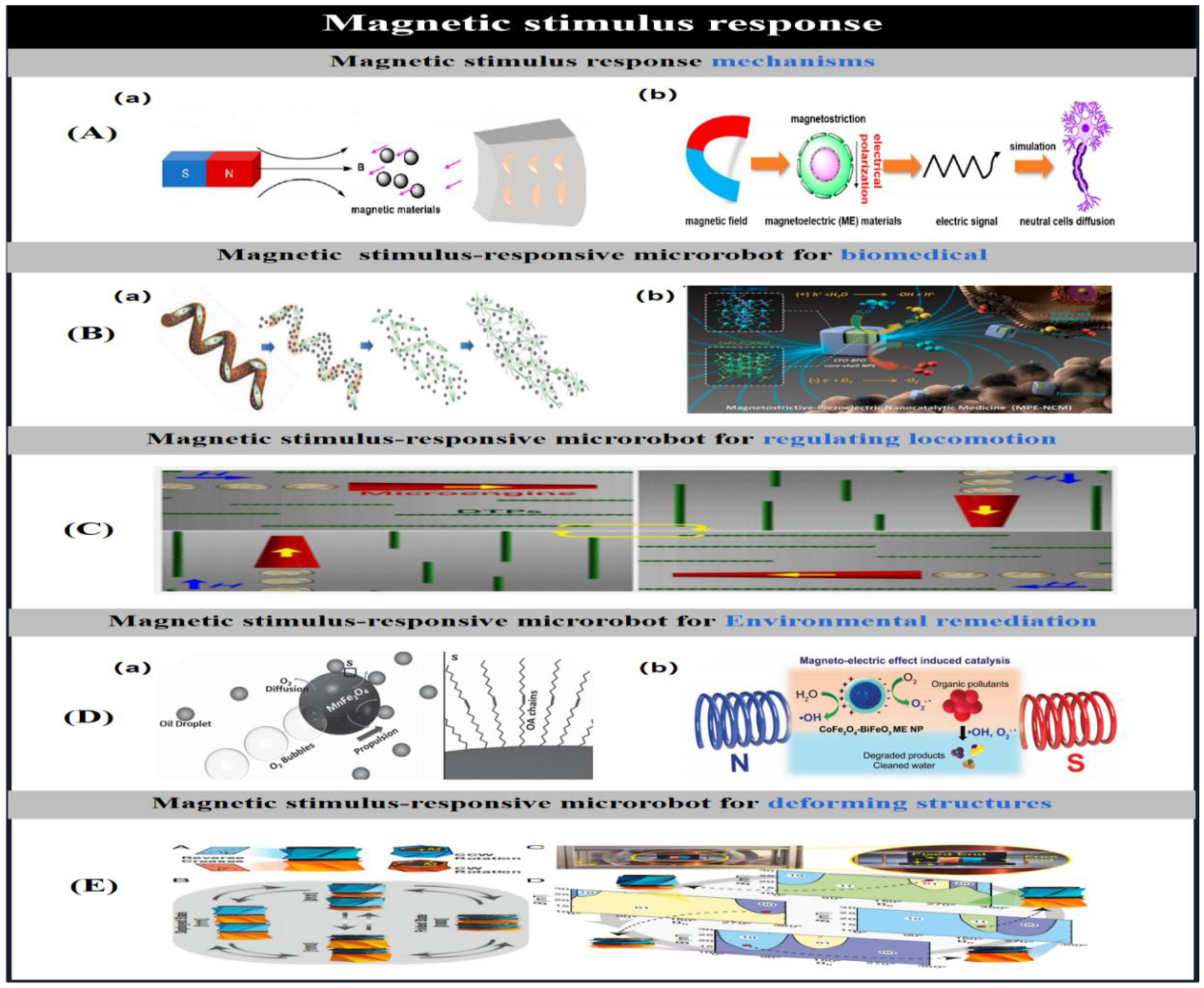 Preprints 91049 g013