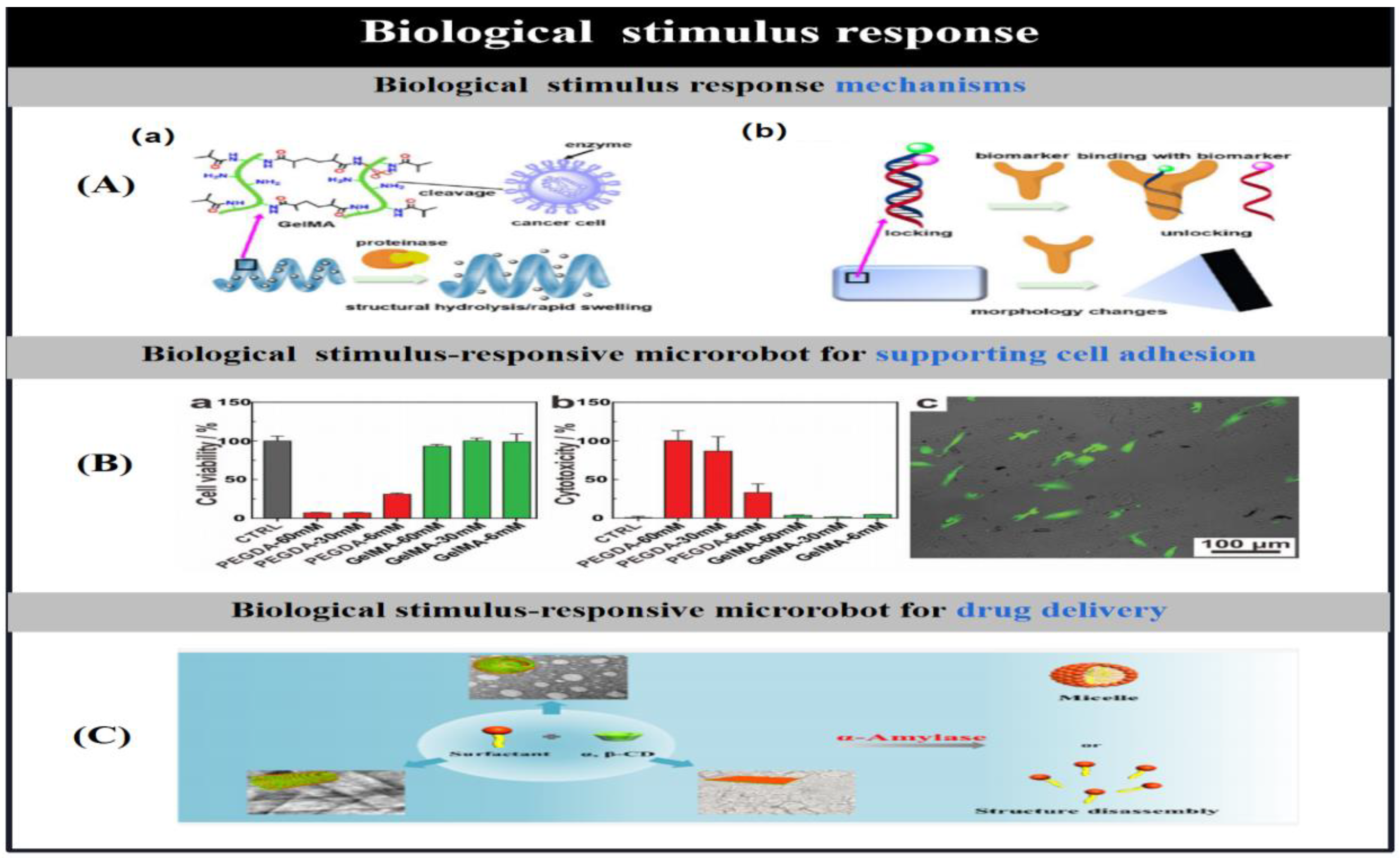 Preprints 91049 g014