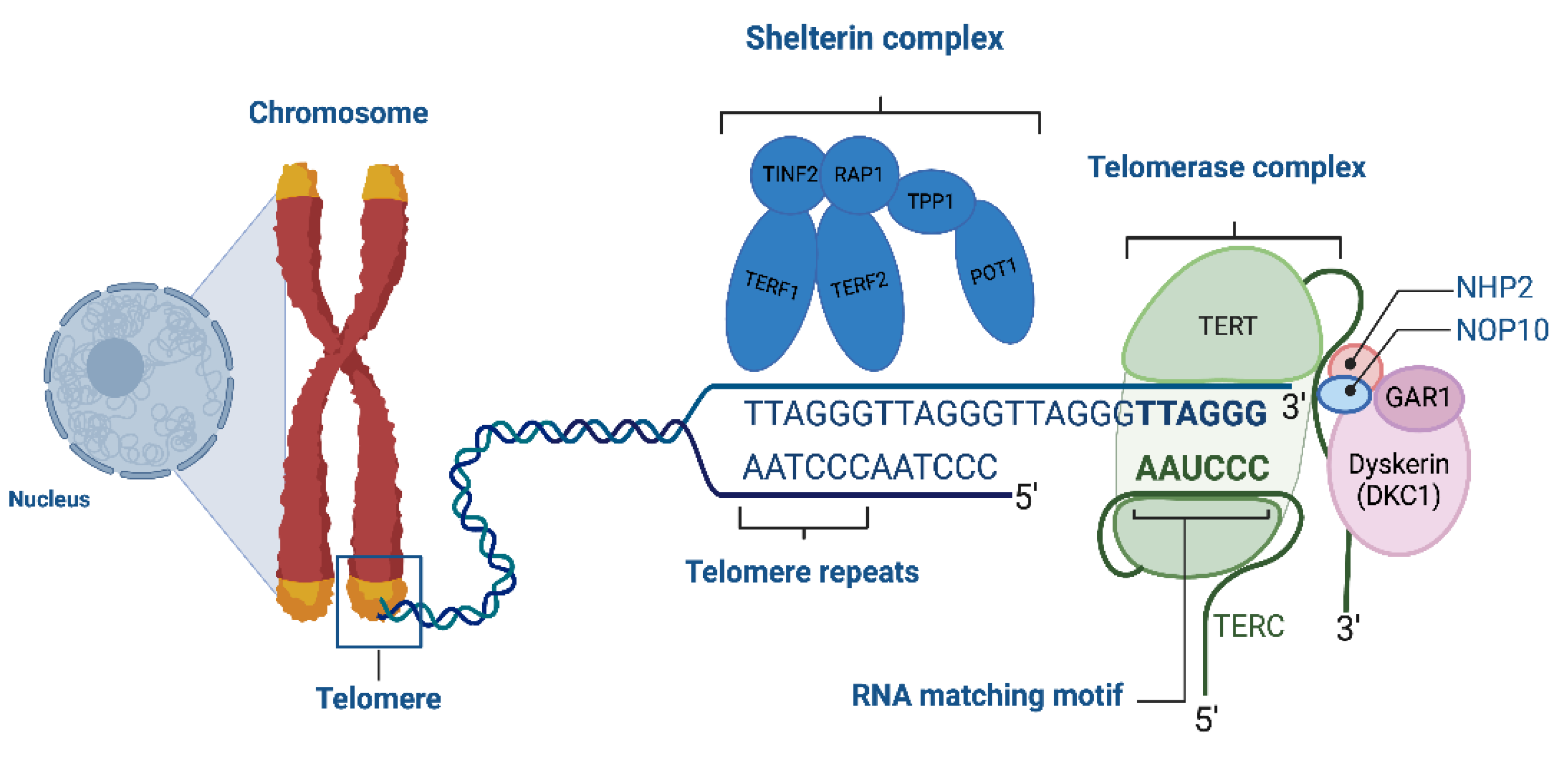 Preprints 115165 g001