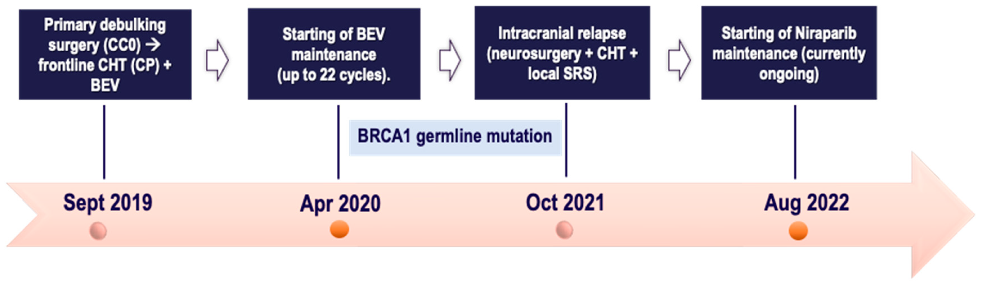 Preprints 110185 g001