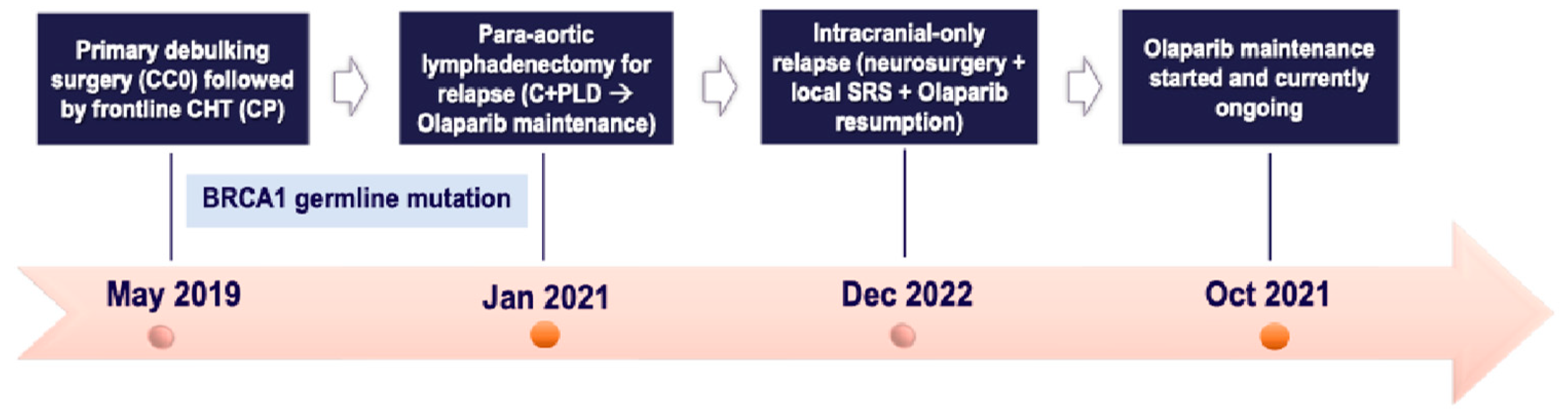 Preprints 110185 g005