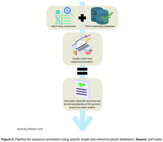 Preprints 118063 i002