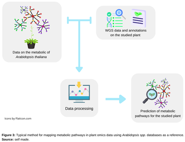 Preprints 118063 i003