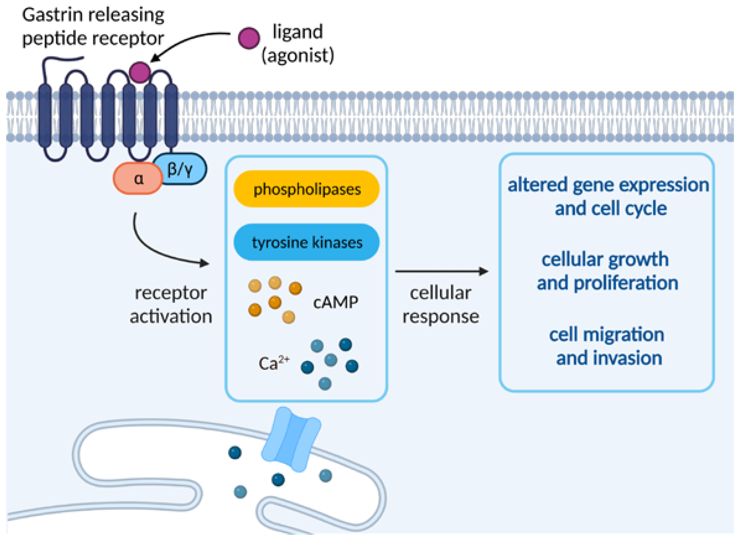 Preprints 66874 g002