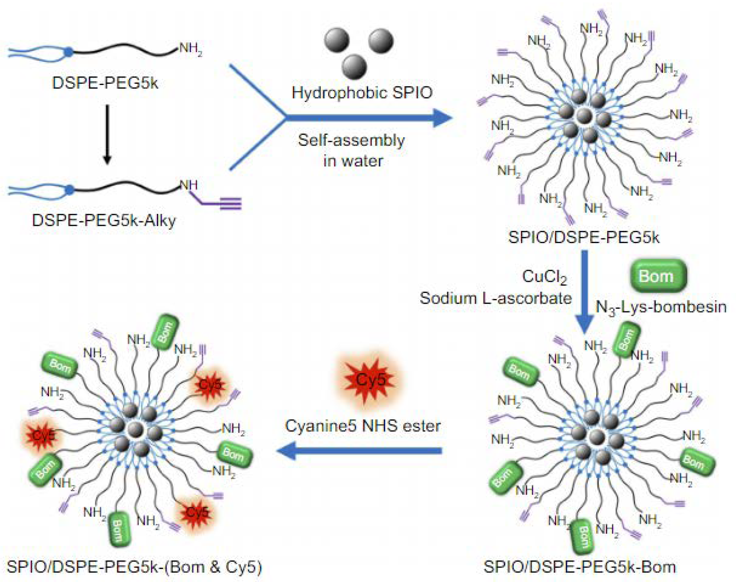 Preprints 66874 g015